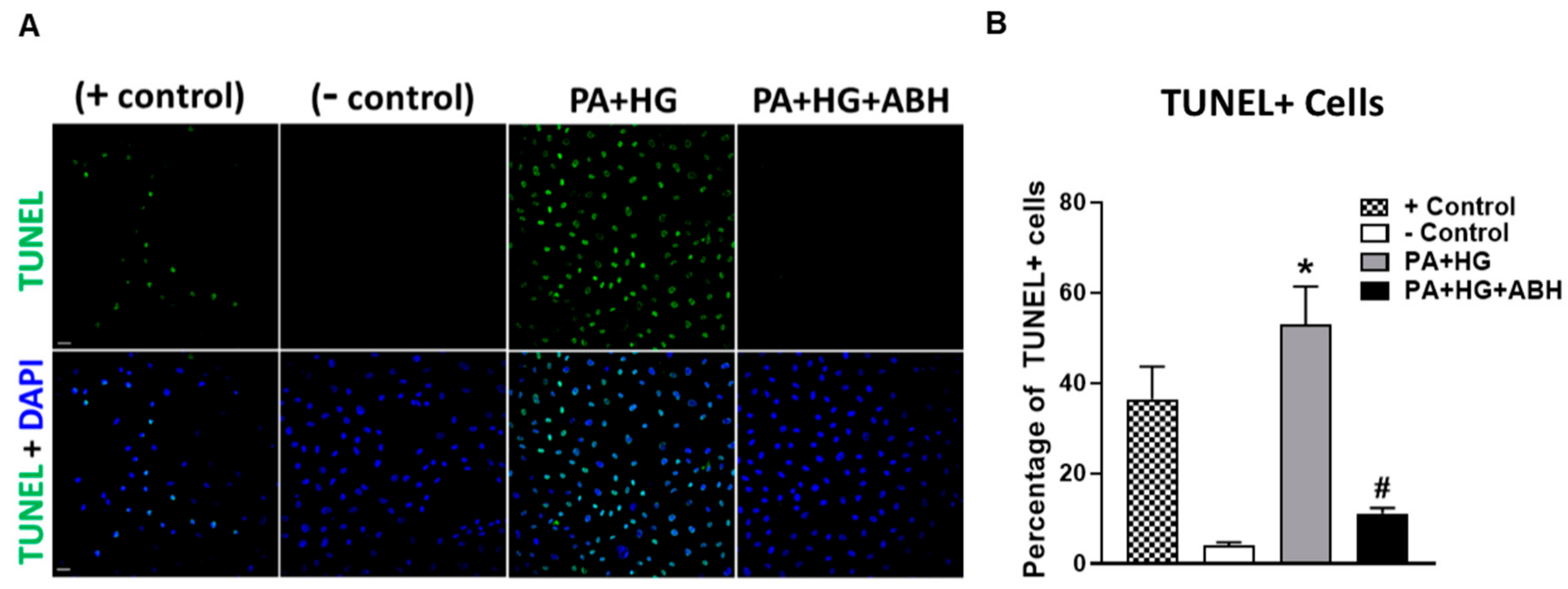 Jcm 09 00317 g009 Jcm 09 00317 g009