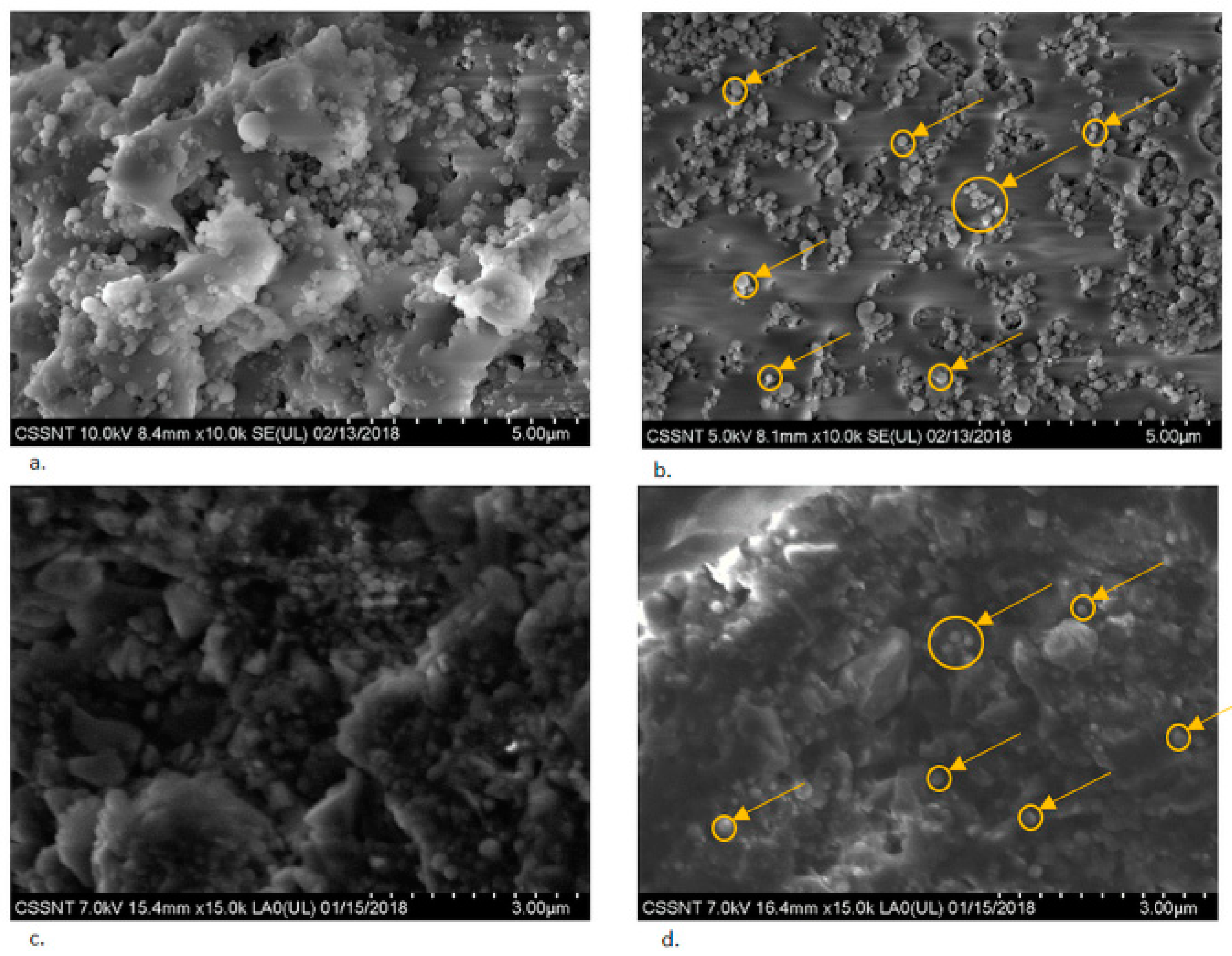 Jcm 09 00324 g001 Jcm 09 00324 g001