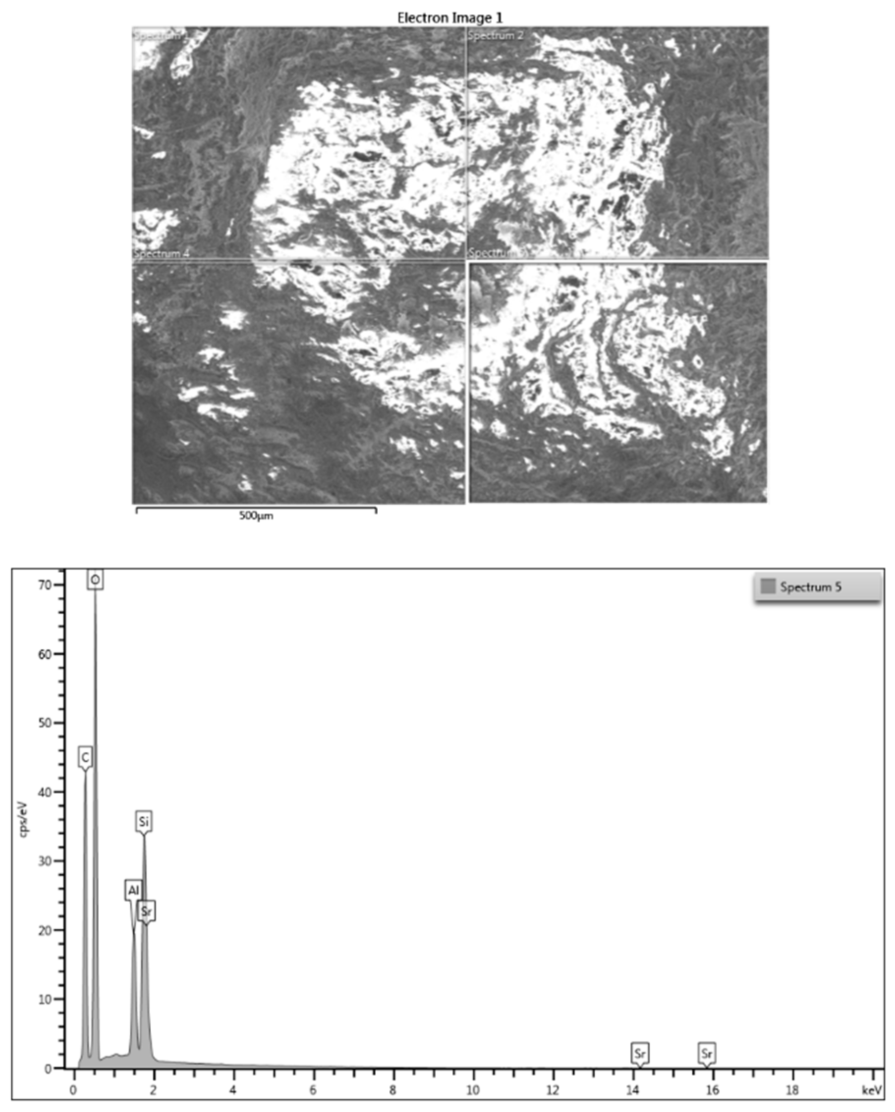 Jcm 09 00324 g003 Jcm 09 00324 g003