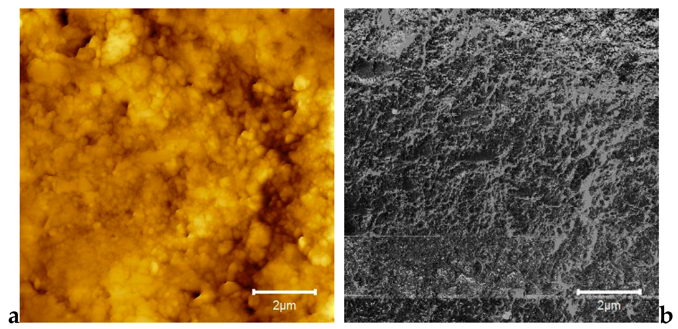 Jcm 09 00324 g008 Jcm 09 00324 g008