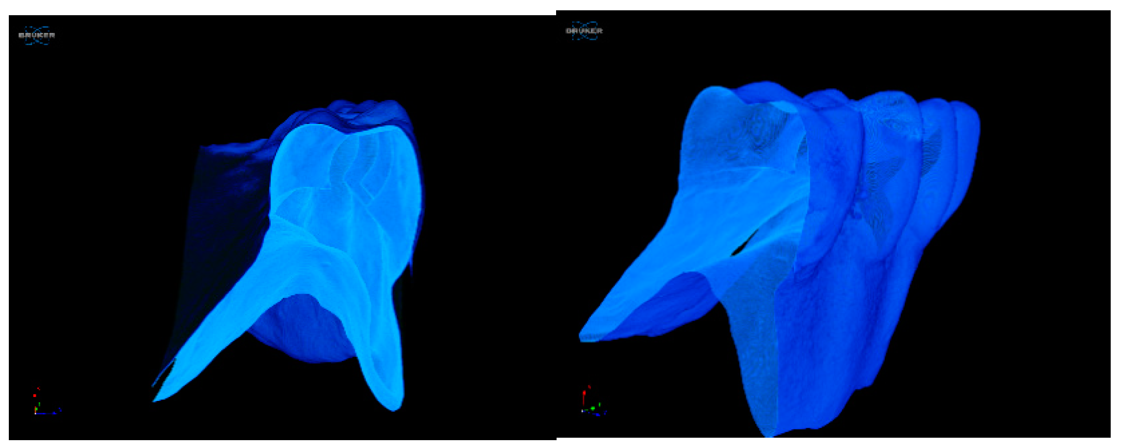 Jcm 09 00324 g016 Jcm 09 00324 g016
