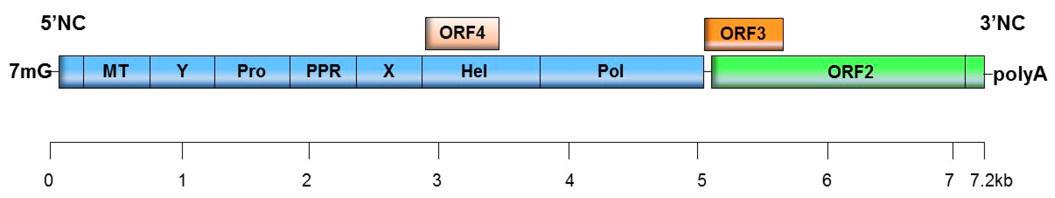 Jcm 09 00331 g001 Jcm 09 00331 g001