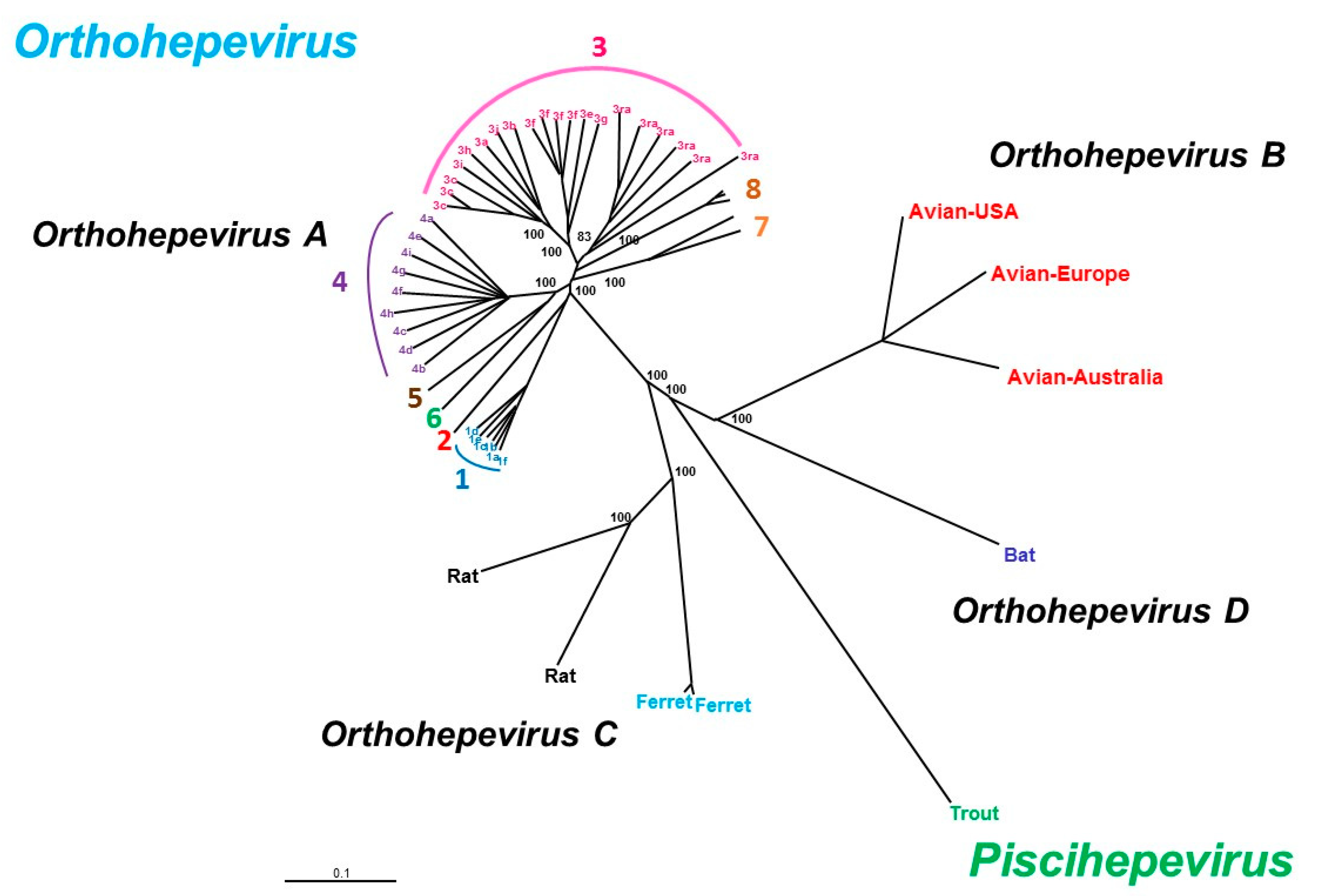 Jcm 09 00331 g002 Jcm 09 00331 g002