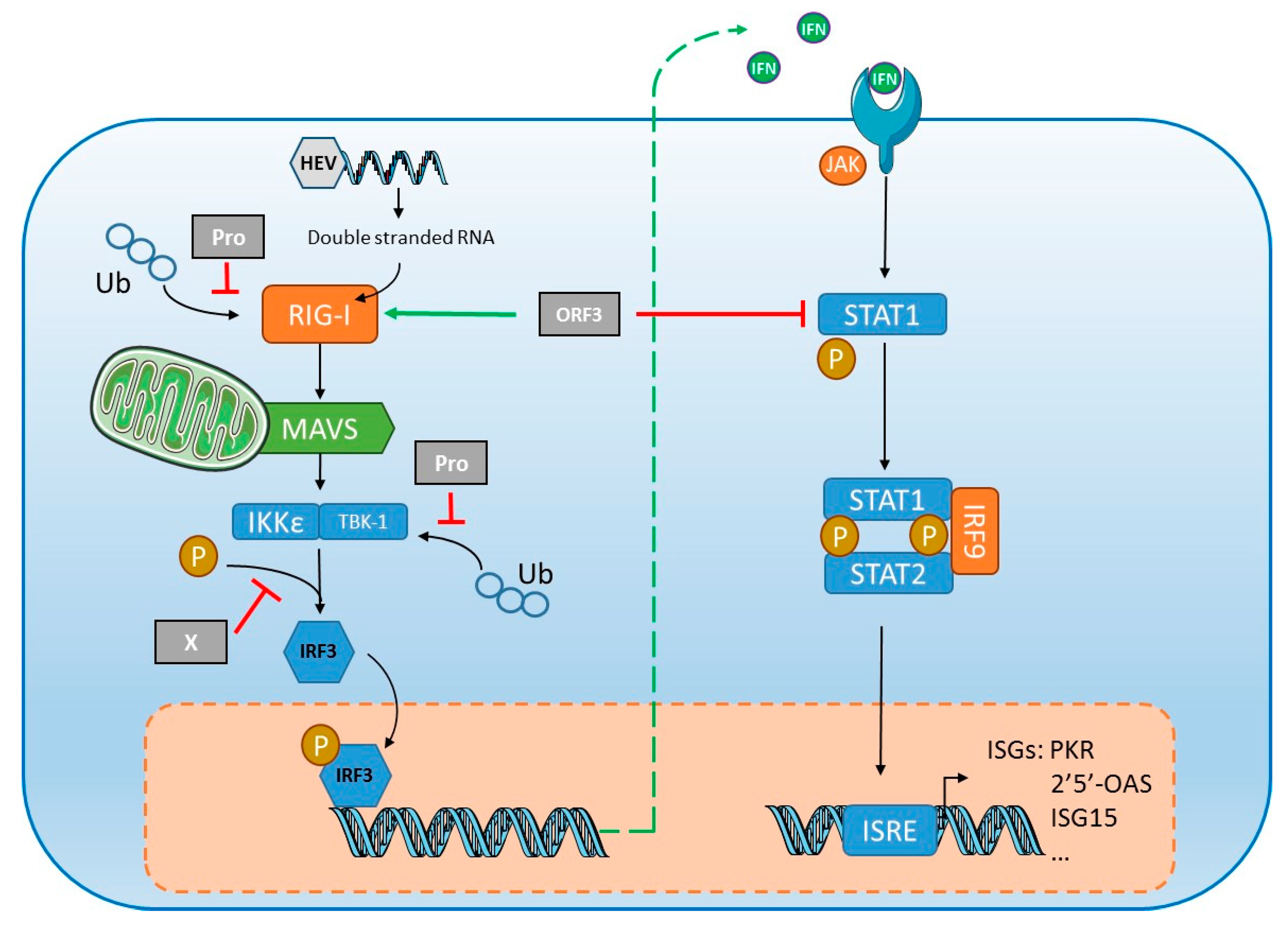 Jcm 09 00331 g003 Jcm 09 00331 g003