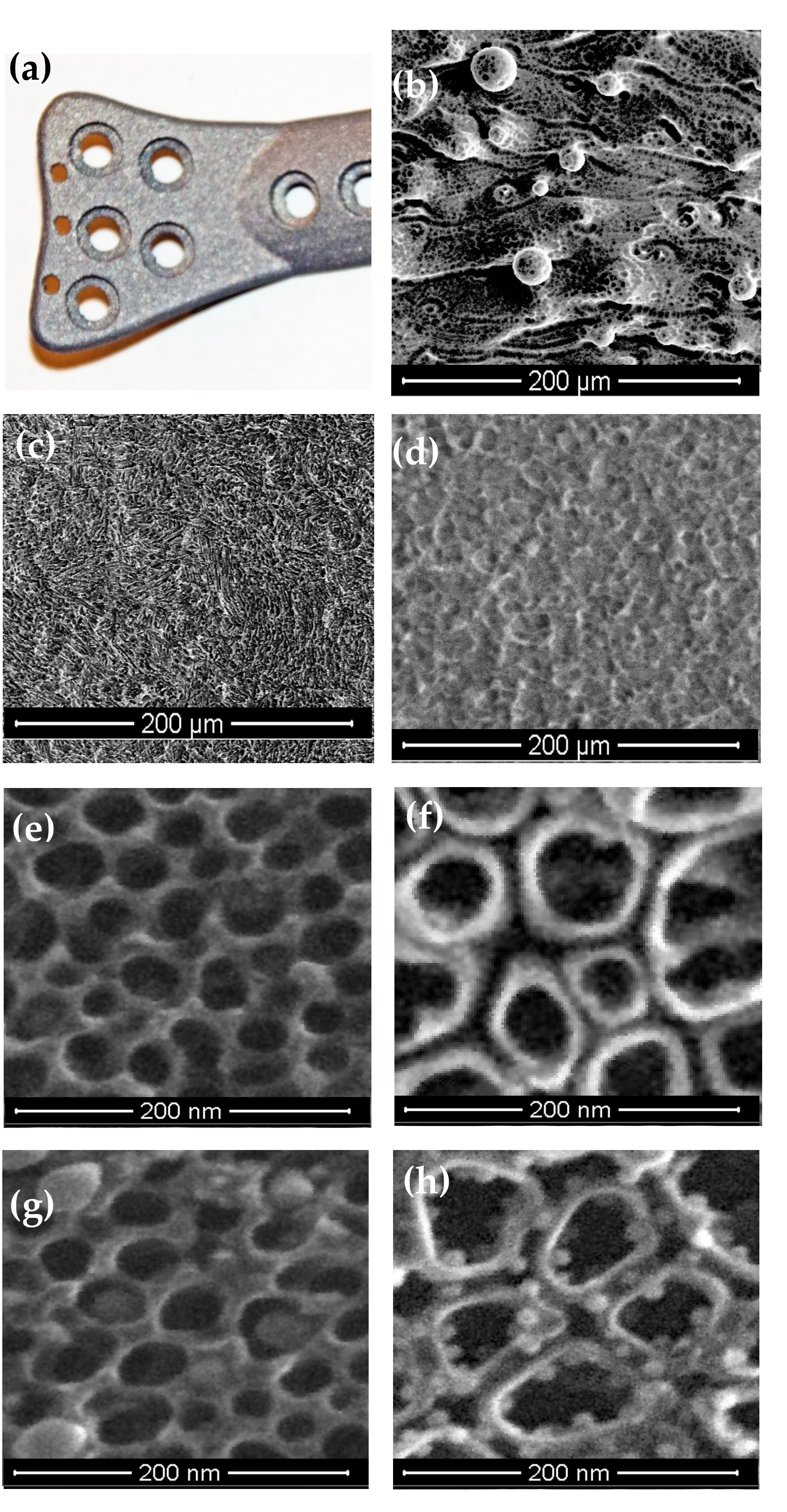 Jcm 09 00342 g001 Jcm 09 00342 g001