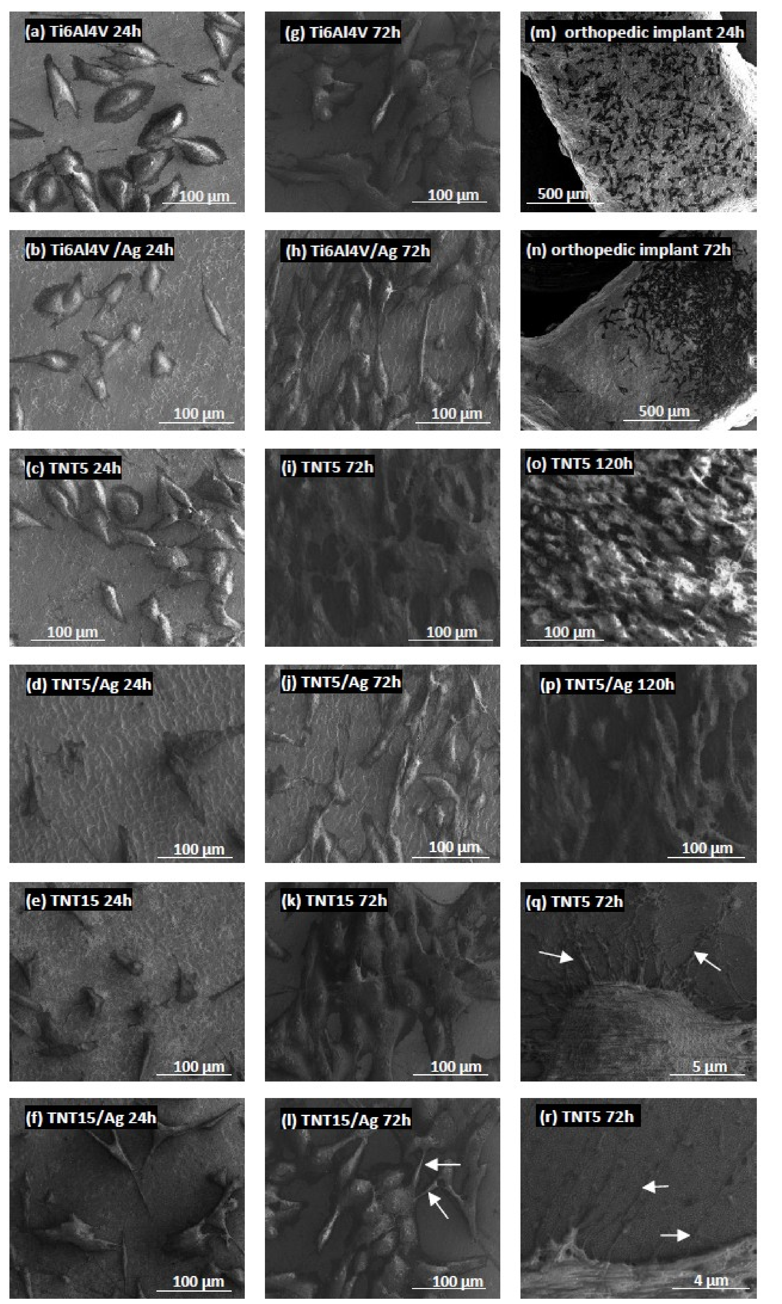 Jcm 09 00342 g003 Jcm 09 00342 g003