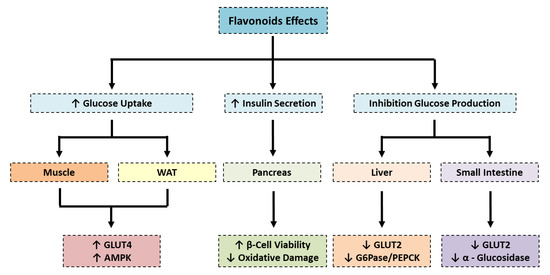 The Coming Age of Flavonoids in the Treatment of Diabetic Complications