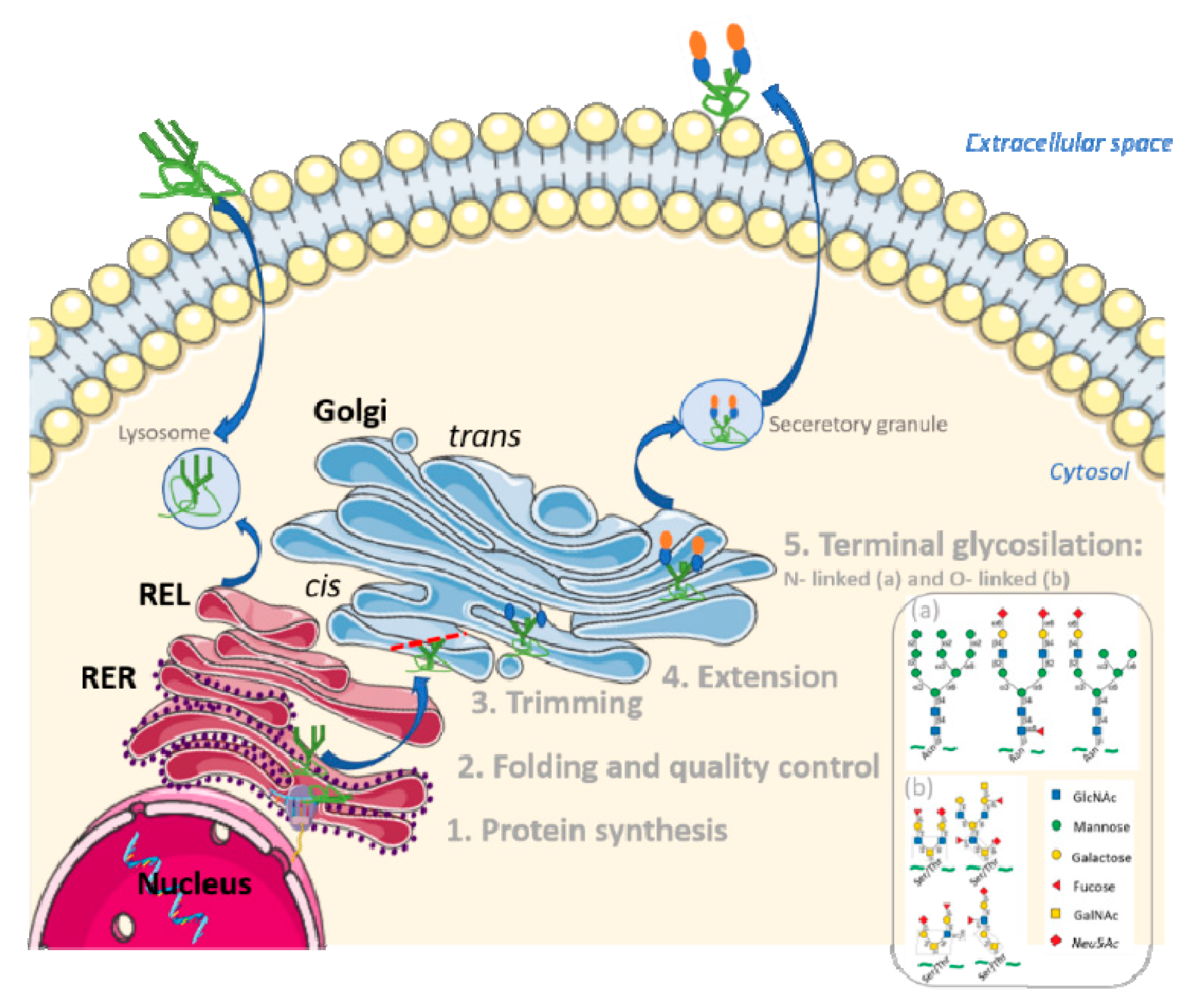 Jcm 09 00354 g001 Jcm 09 00354 g001