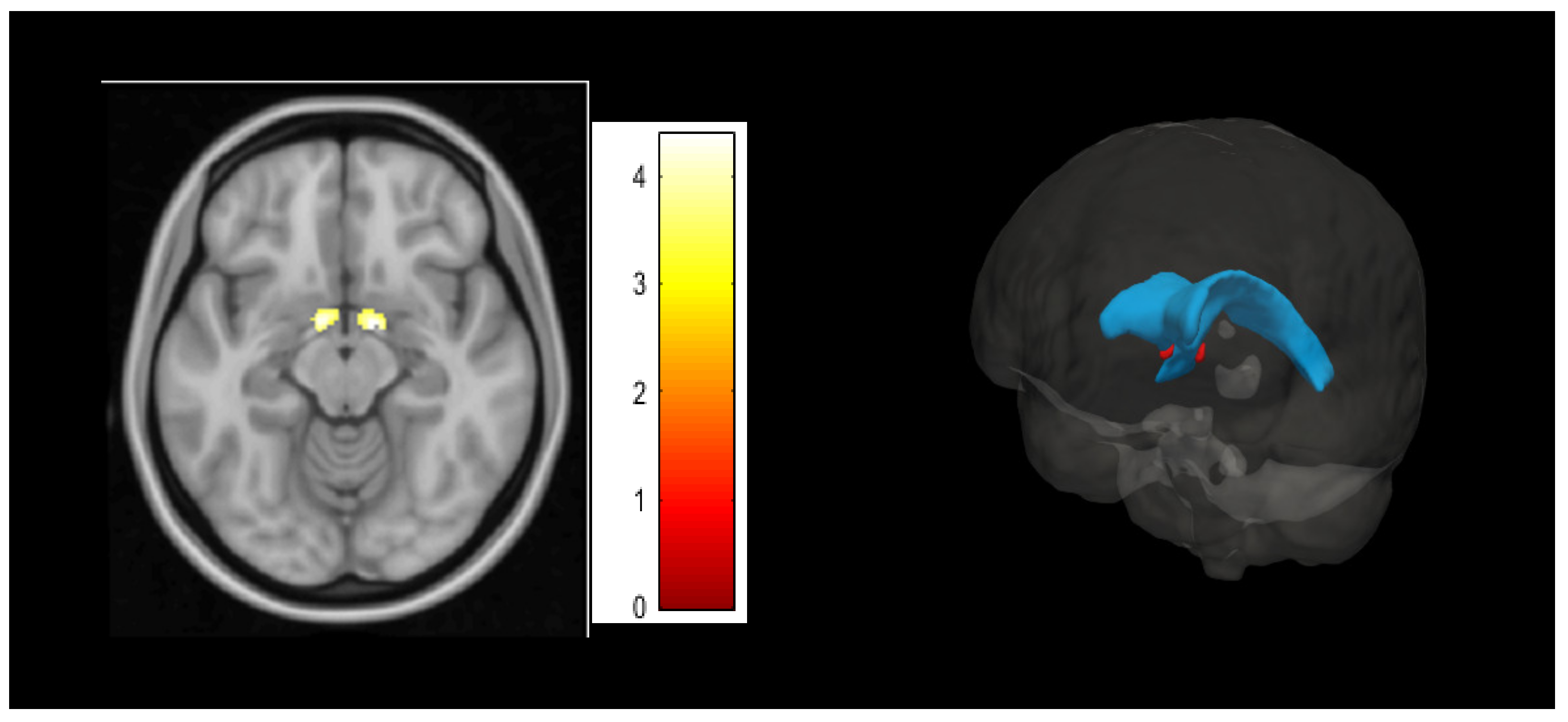 Jcm 09 00374 g002 Jcm 09 00374 g002