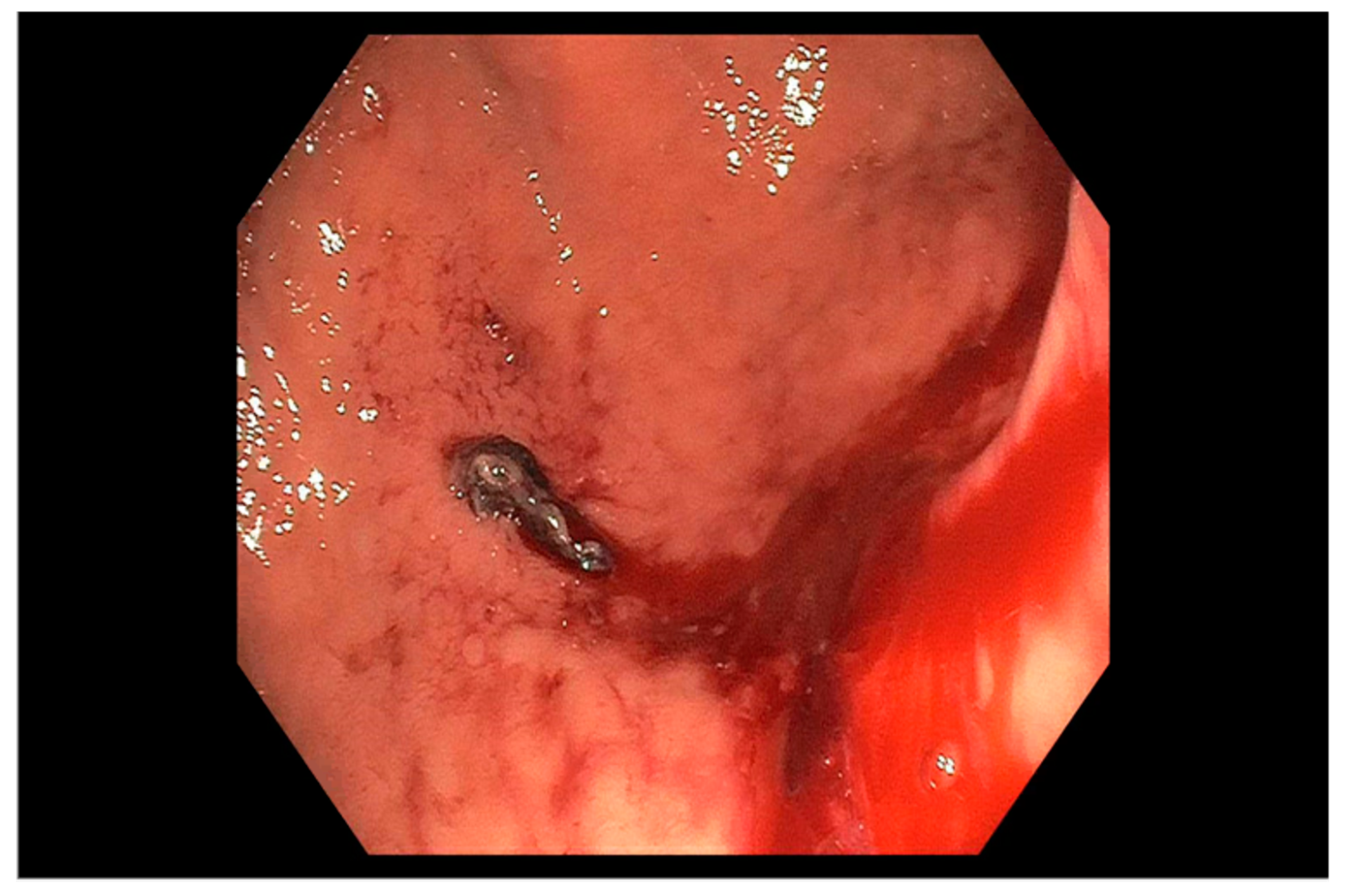 Jcm 09 00402 g002 Jcm 09 00402 g002