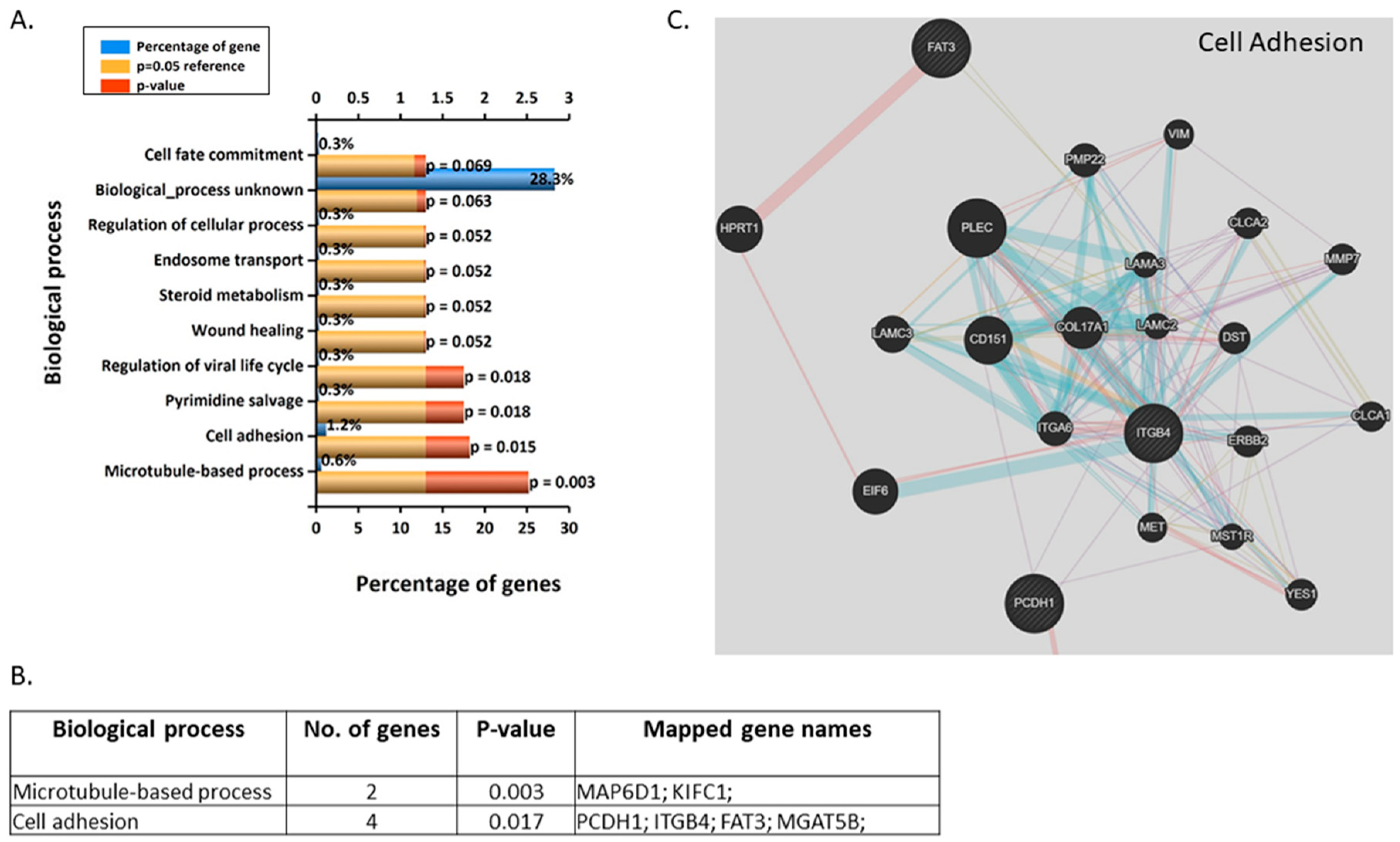 Jcm 09 00405 g004 Jcm 09 00405 g004