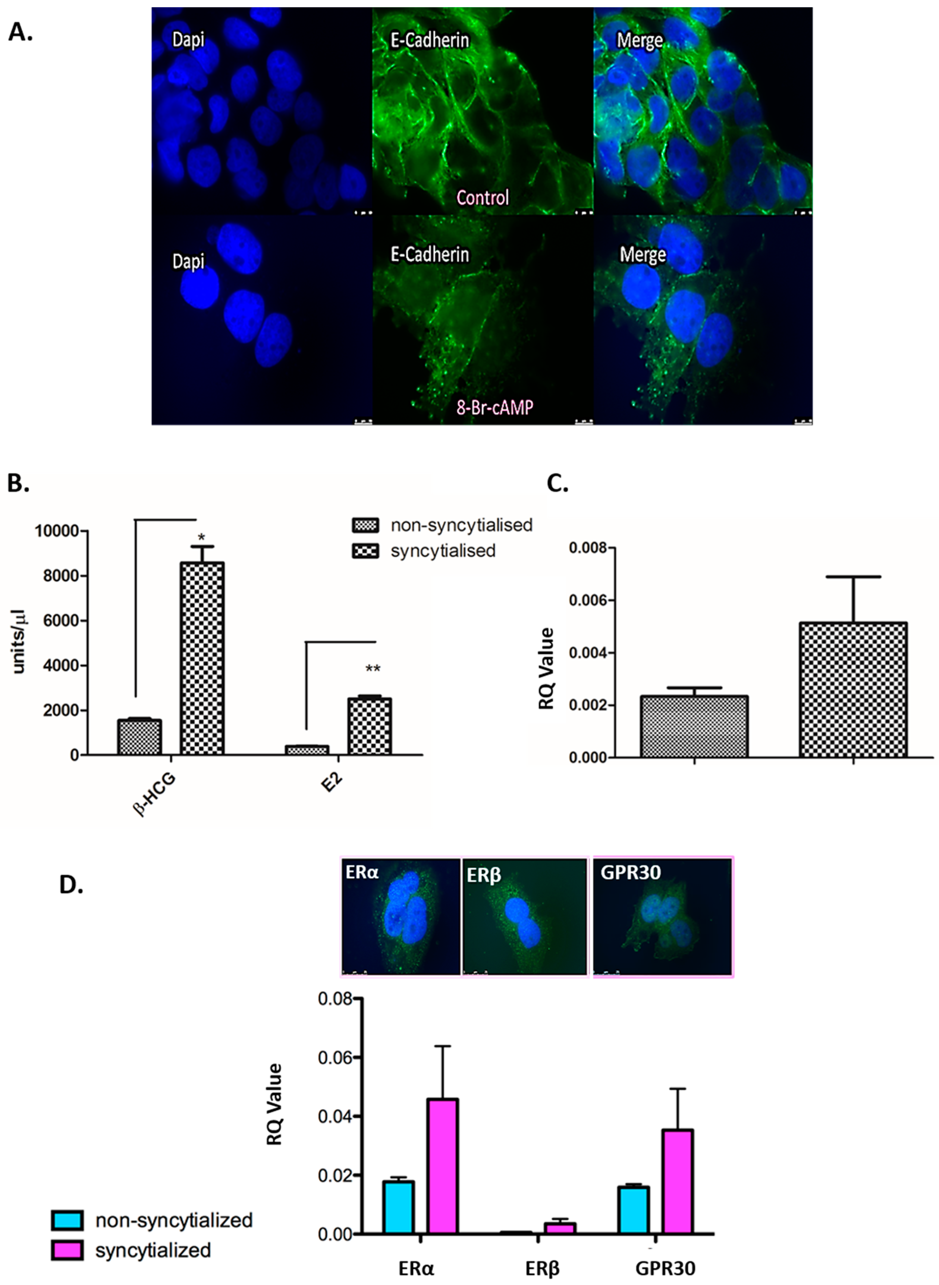 Jcm 09 00405 g005 Jcm 09 00405 g005