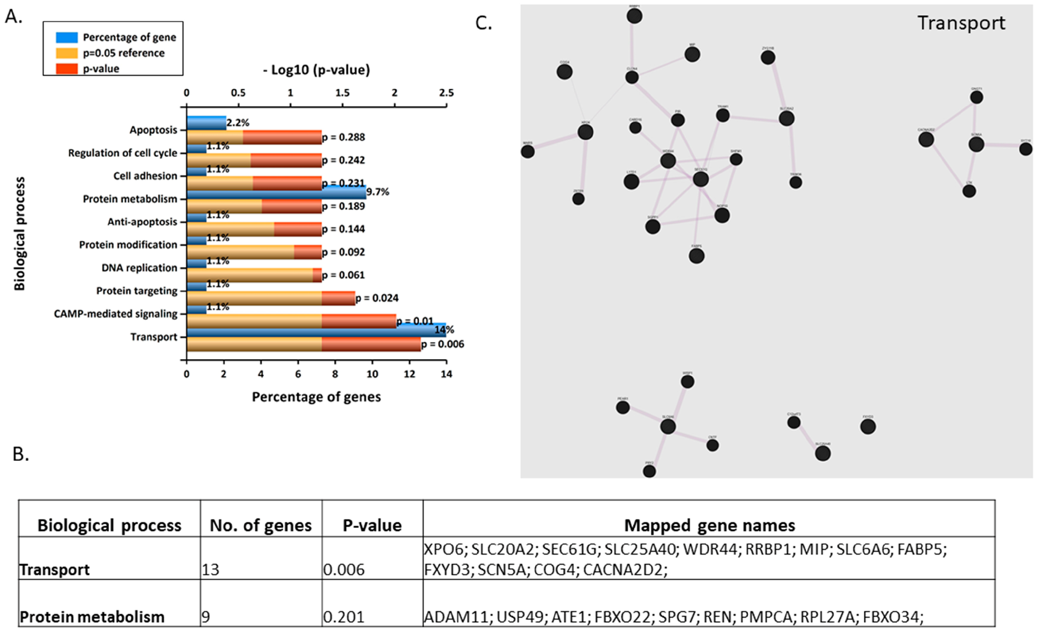 Jcm 09 00405 g007 Jcm 09 00405 g007
