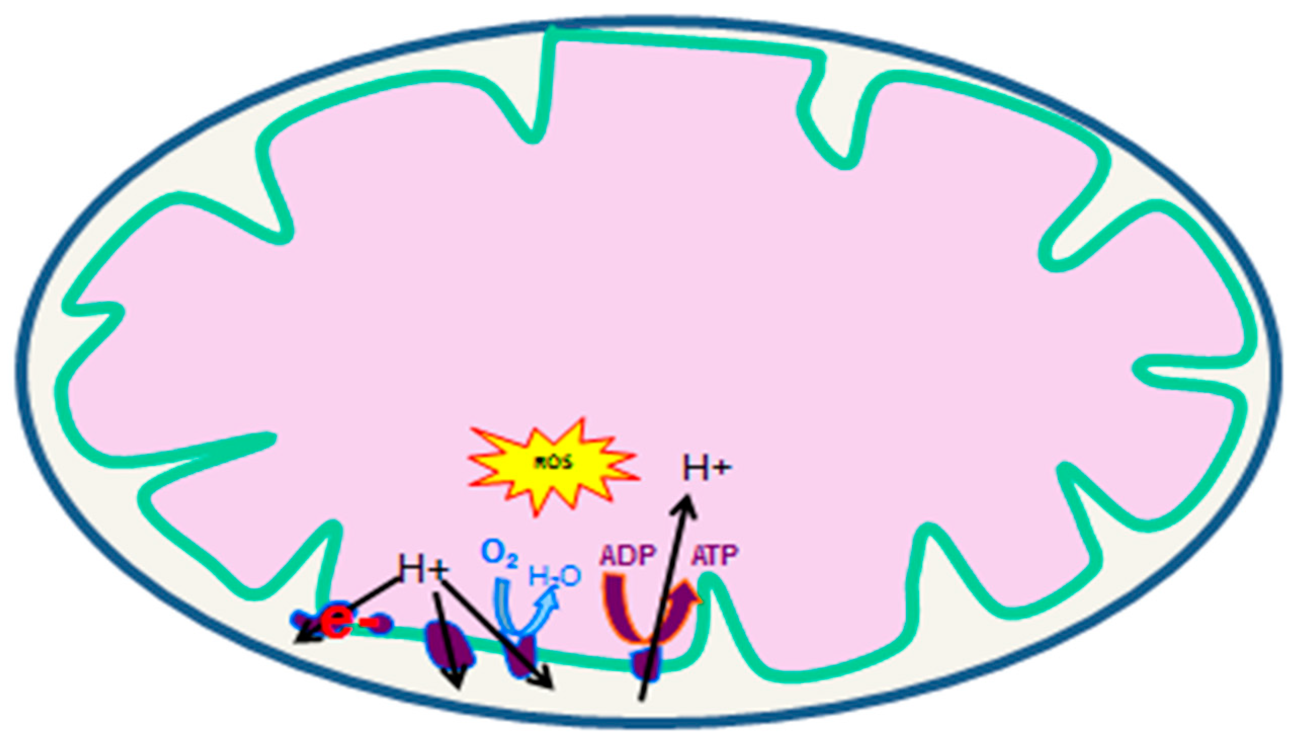 Jcm 09 00410 g001 Jcm 09 00410 g001
