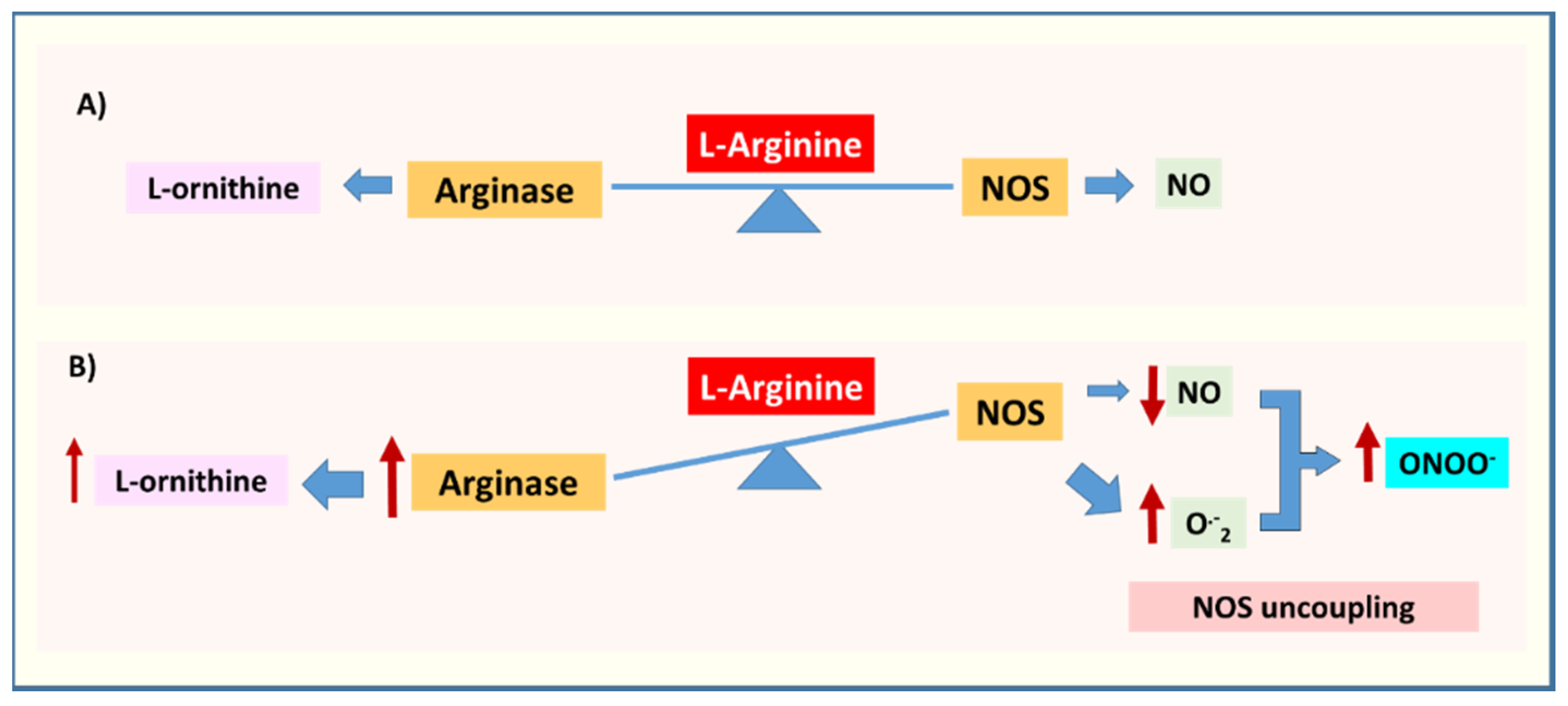 Jcm 09 00425 g003 Jcm 09 00425 g003