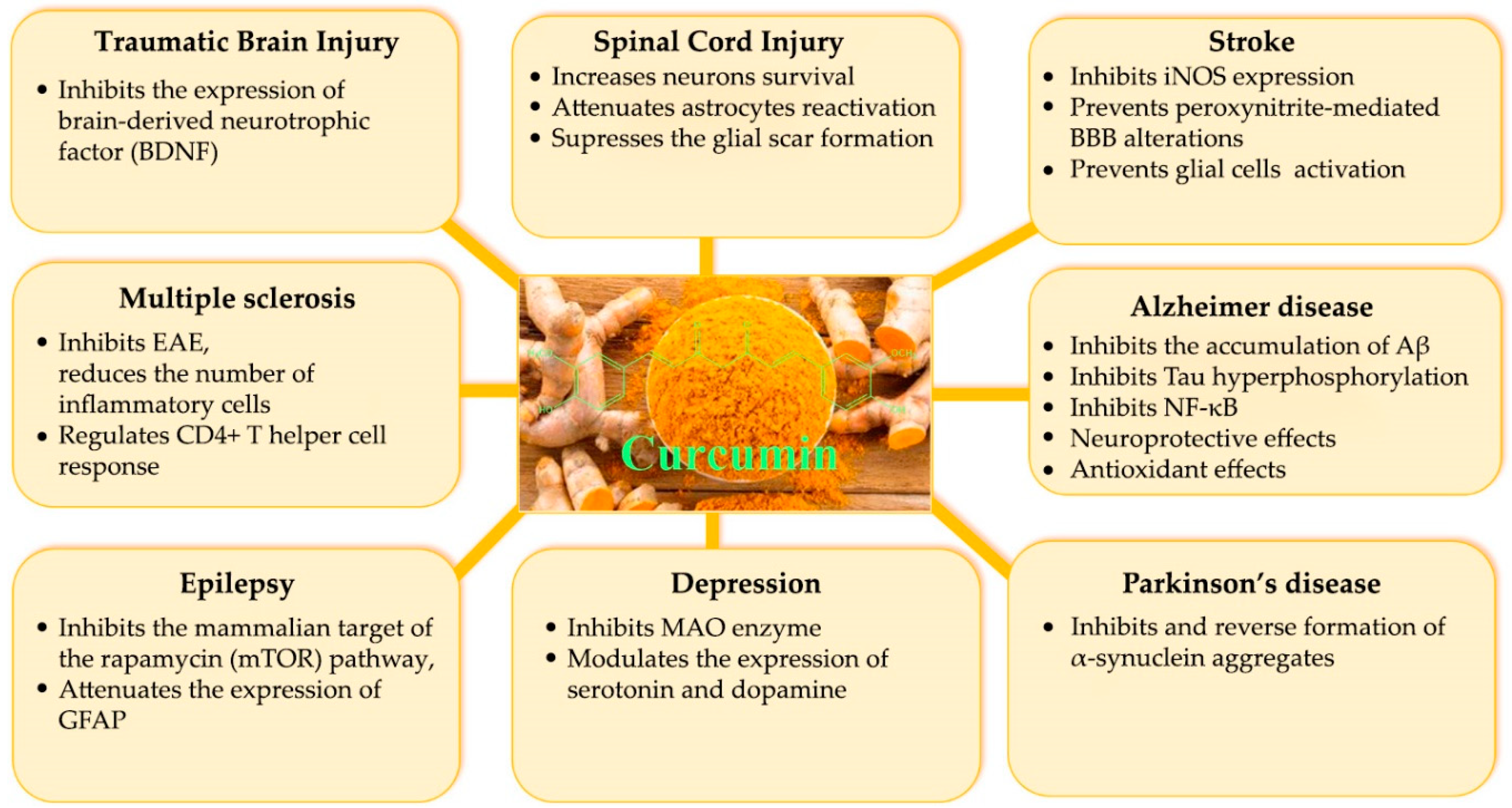 Jcm 09 00430 g002 Jcm 09 00430 g002