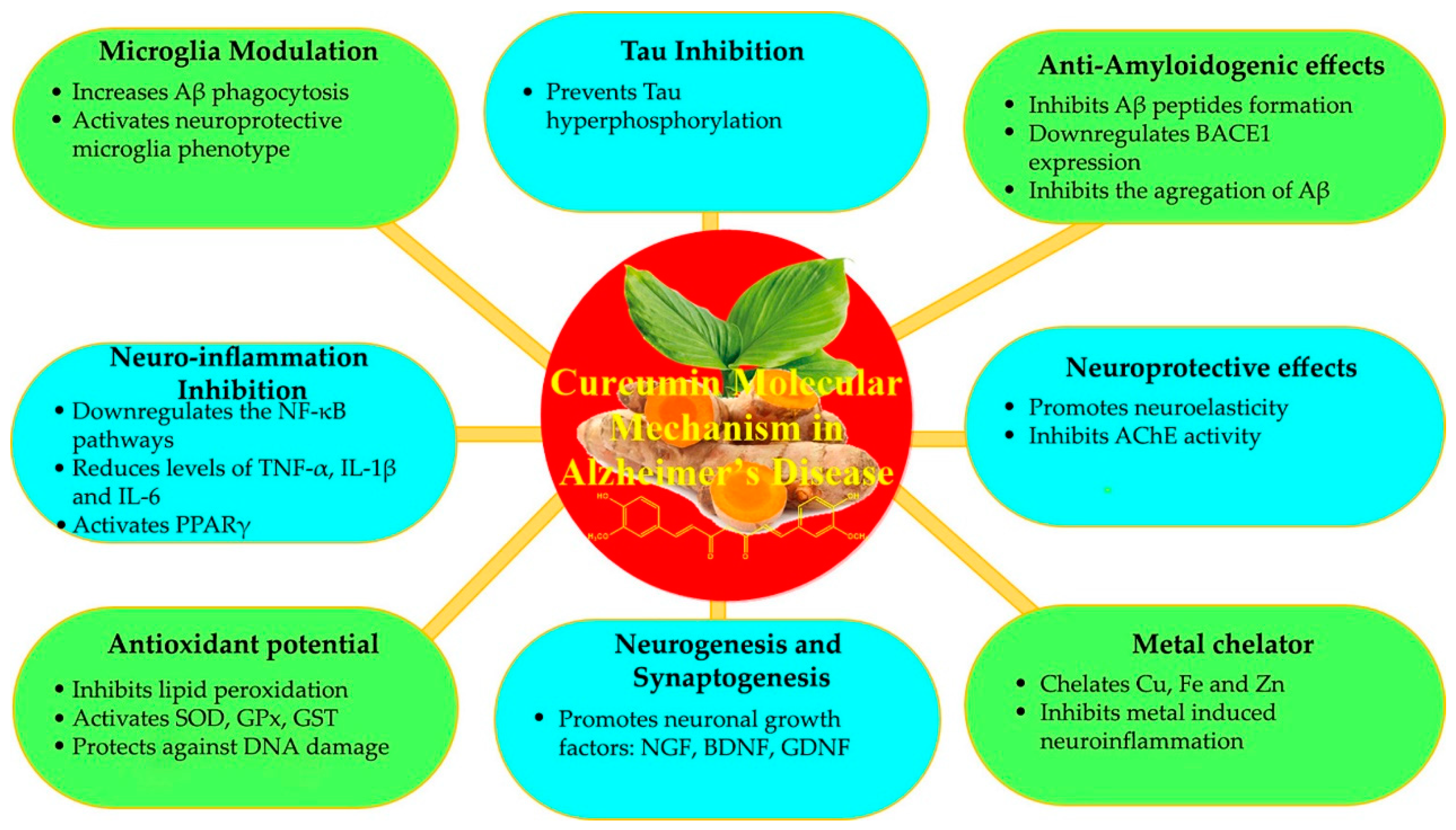 Jcm 09 00430 g003 Jcm 09 00430 g003