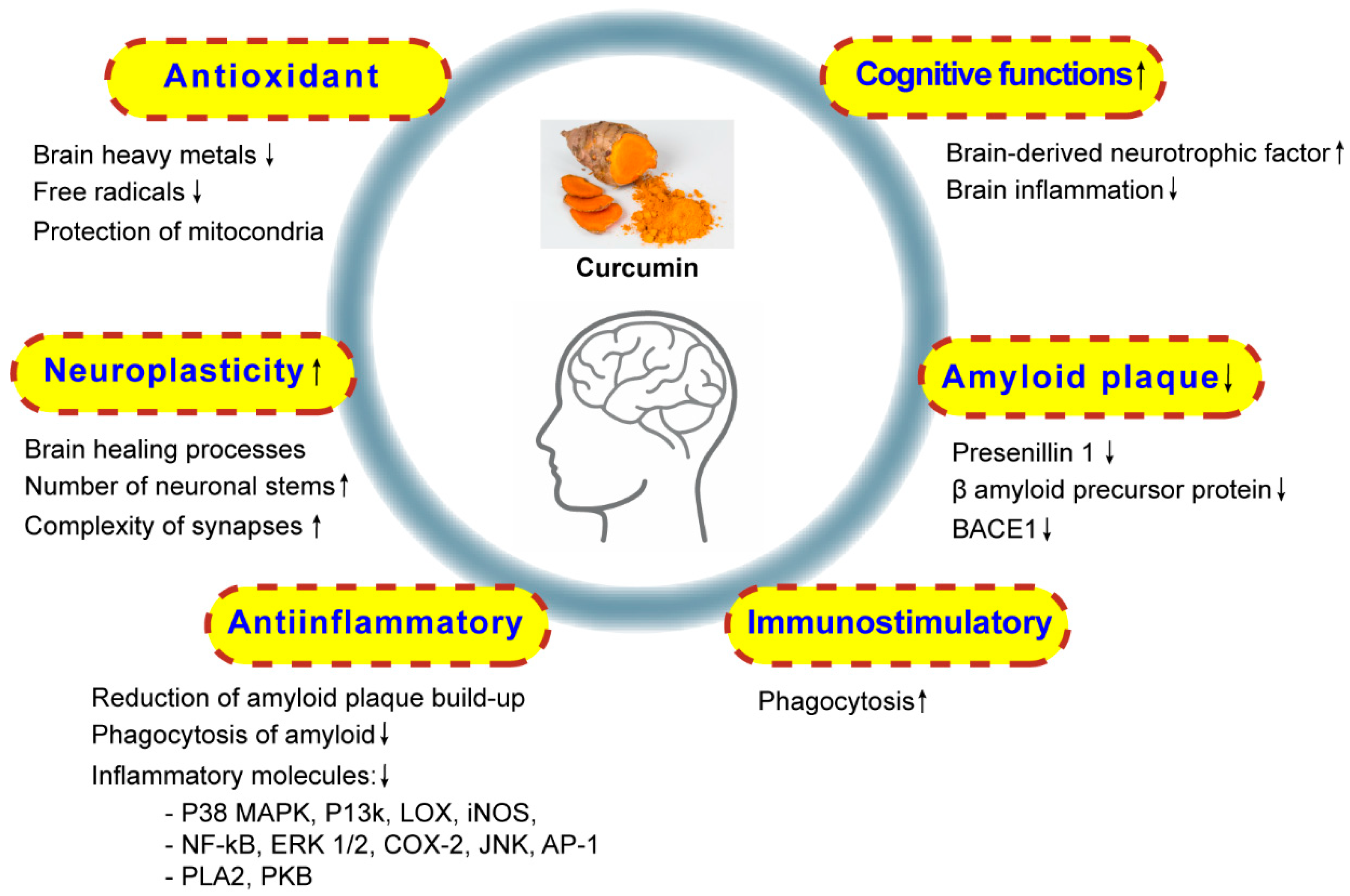 Jcm 09 00430 g005 Jcm 09 00430 g005