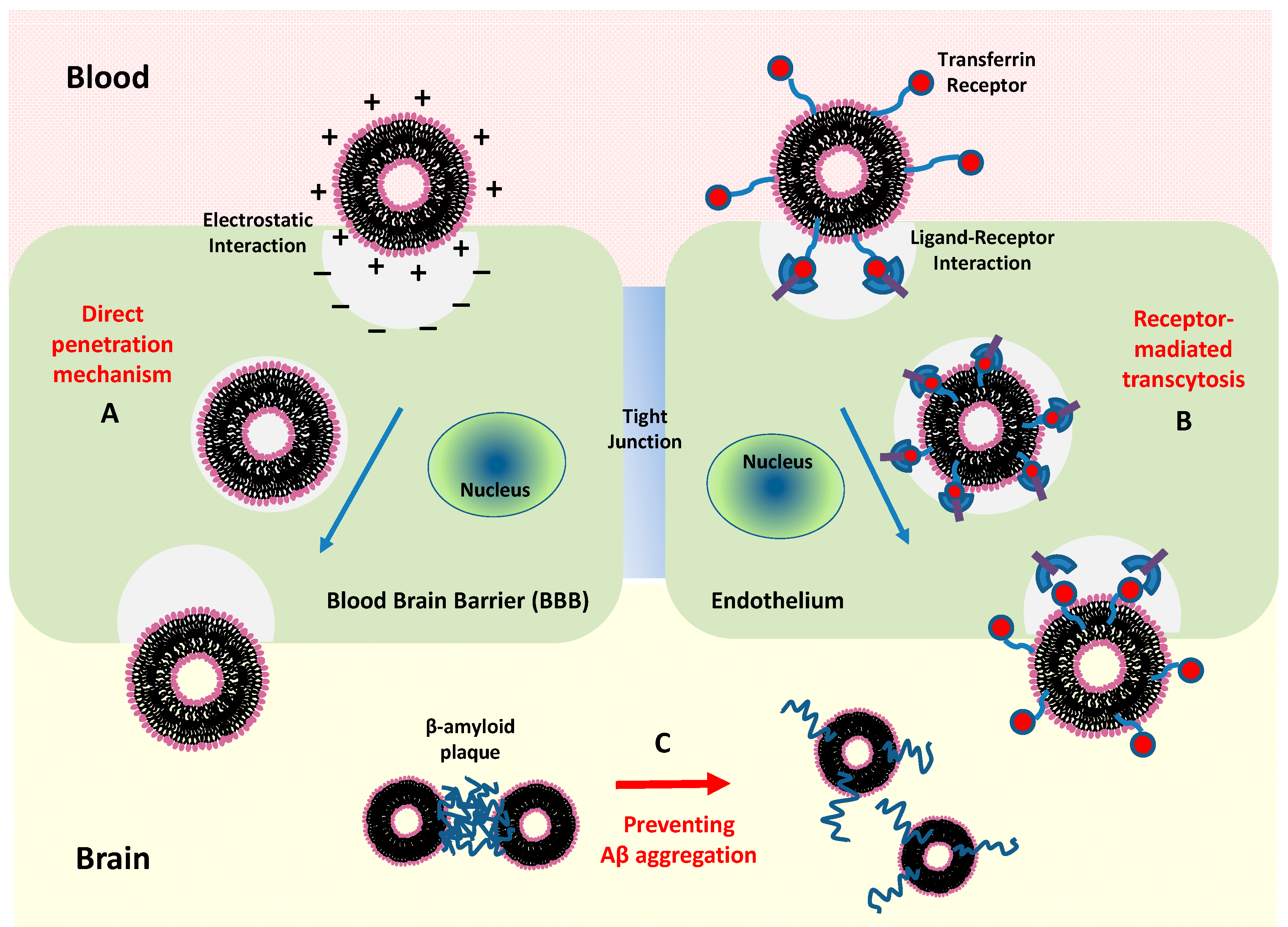Jcm 09 00430 g007 Jcm 09 00430 g007
