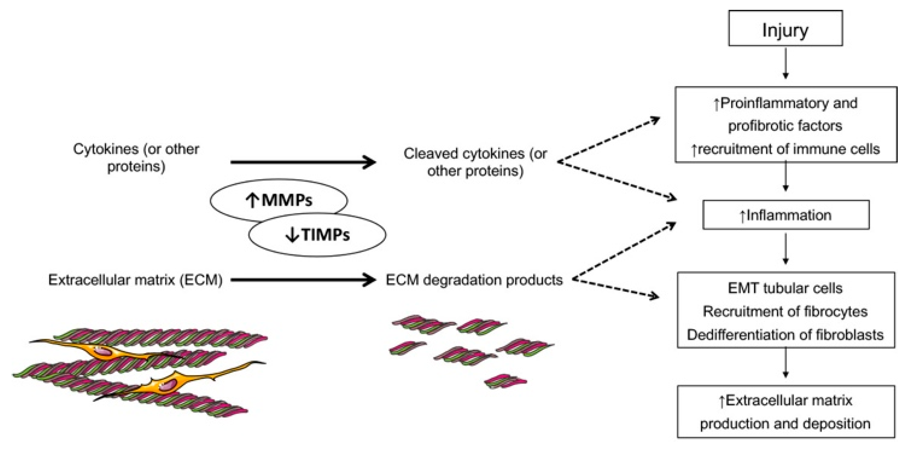 Jcm 09 00472 g001 Jcm 09 00472 g001