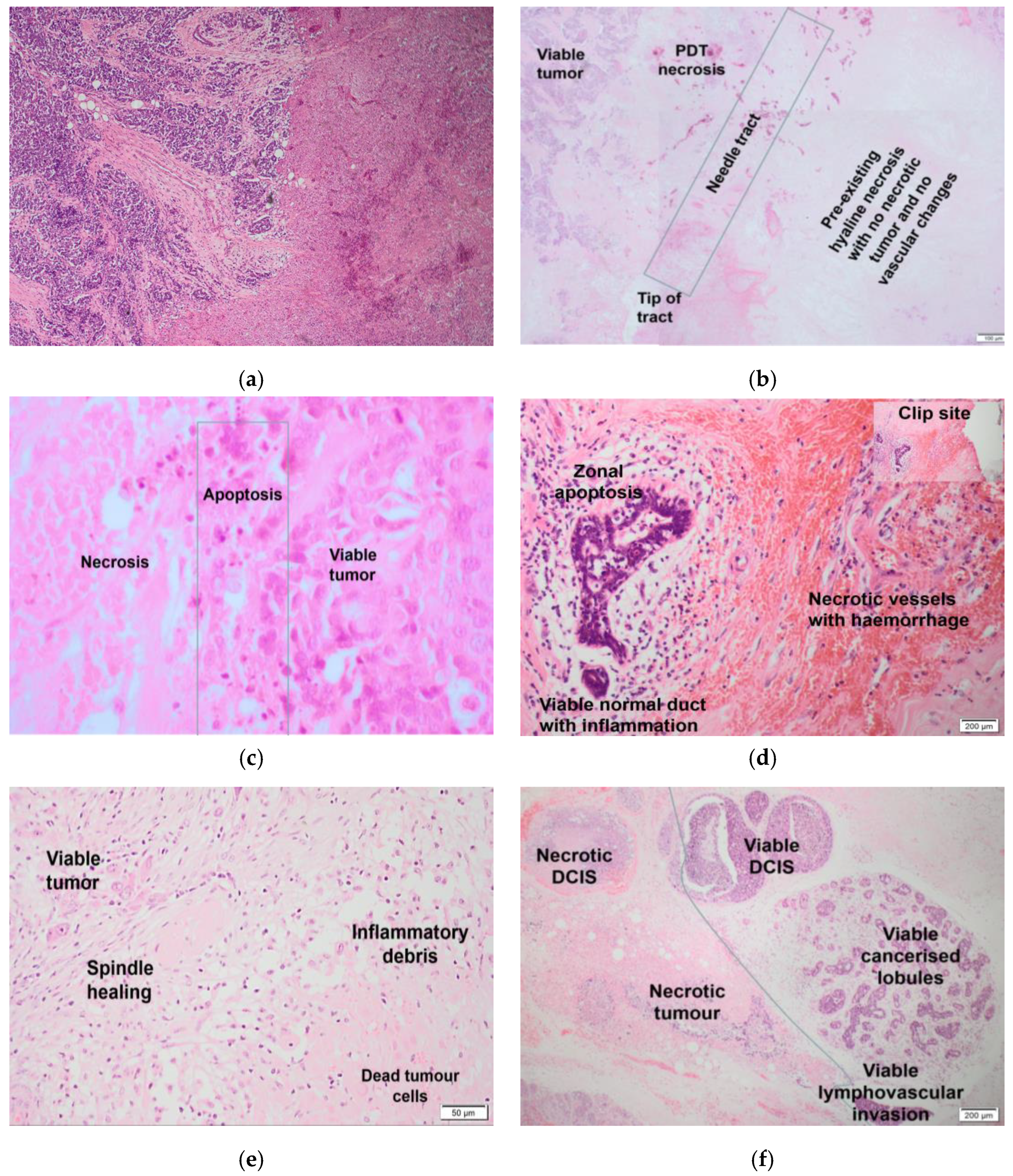 Jcm 09 00483 g003 Jcm 09 00483 g003