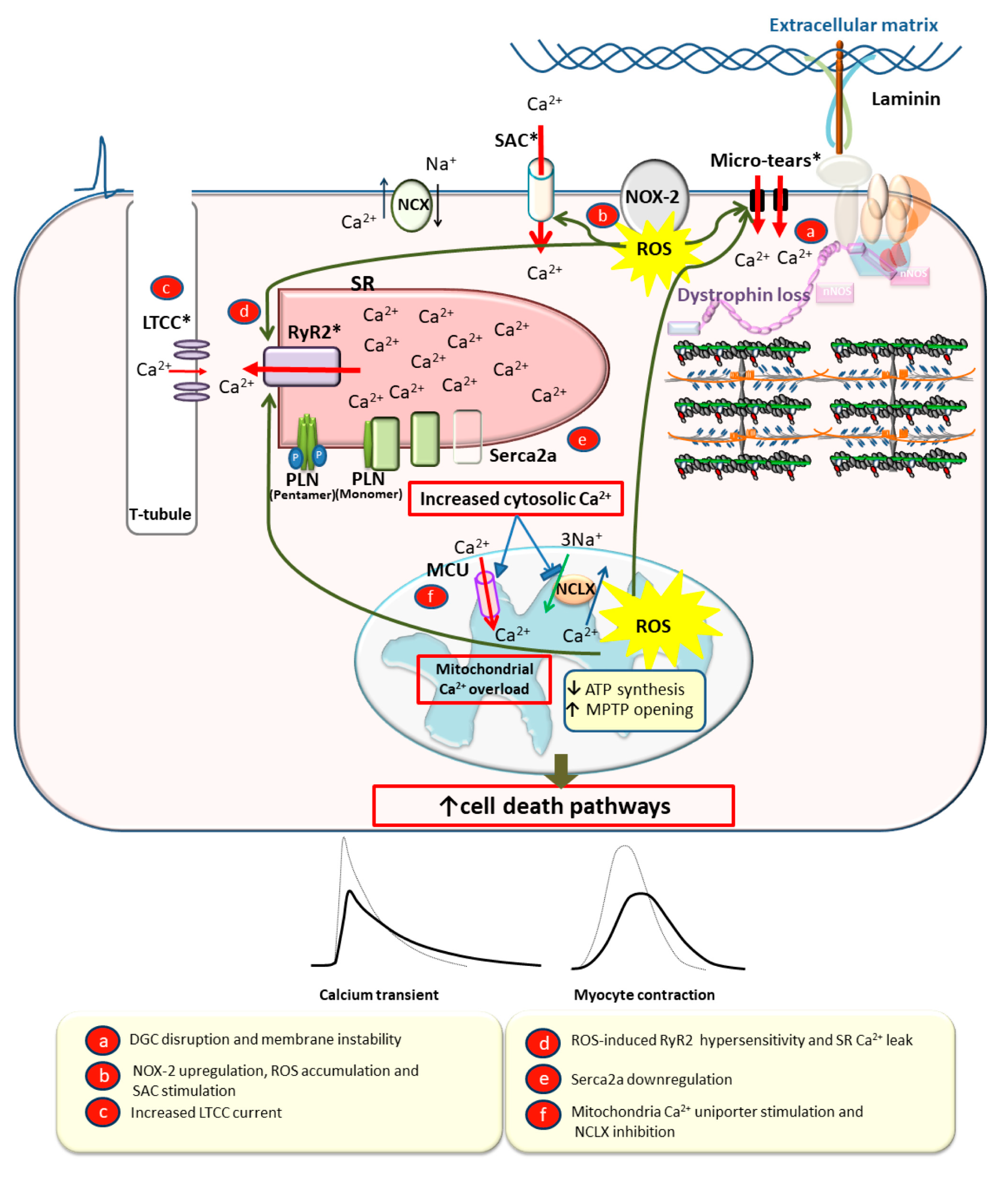 Jcm 09 00520 g003 Jcm 09 00520 g003