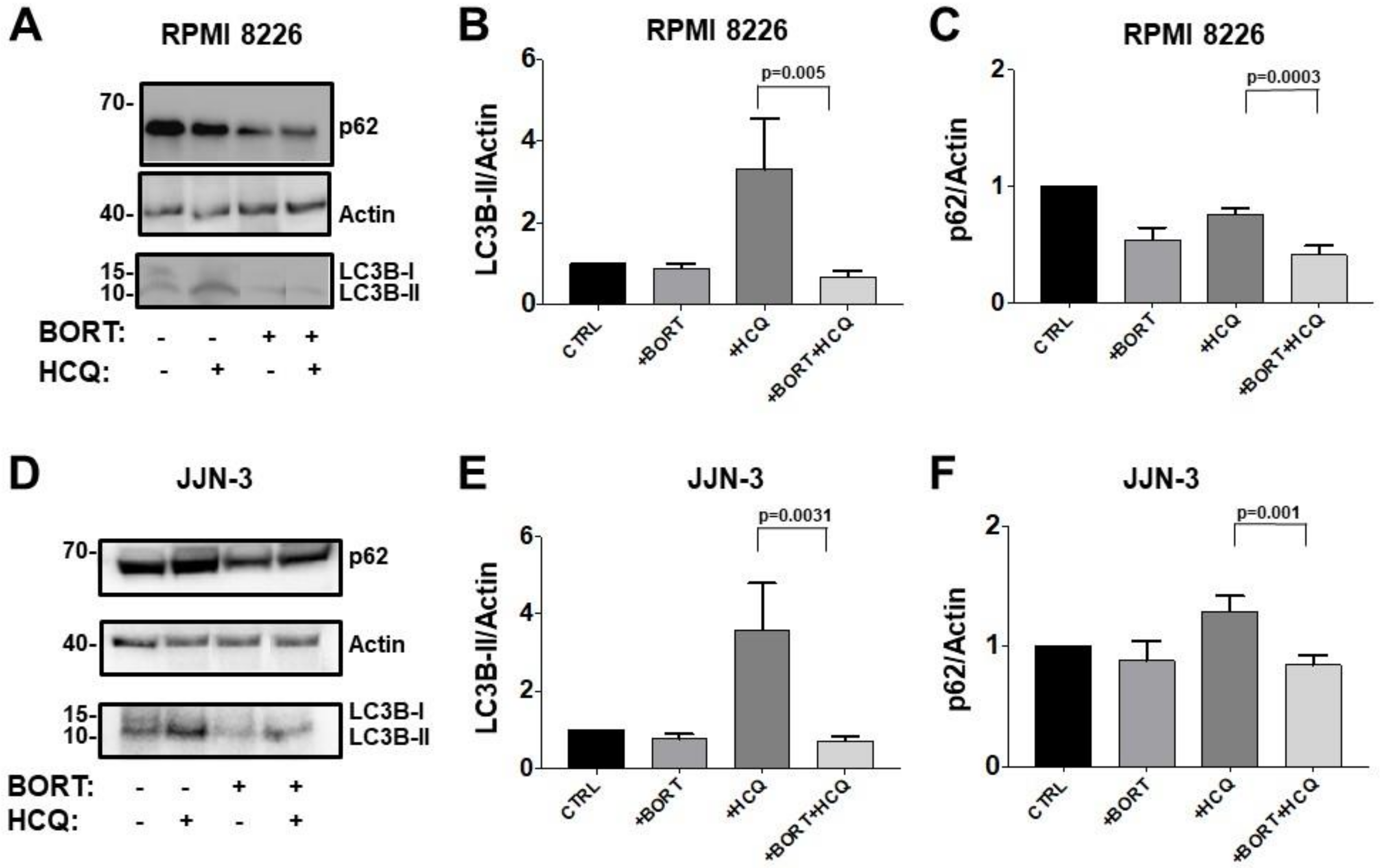Jcm 09 00552 g002 Jcm 09 00552 g002