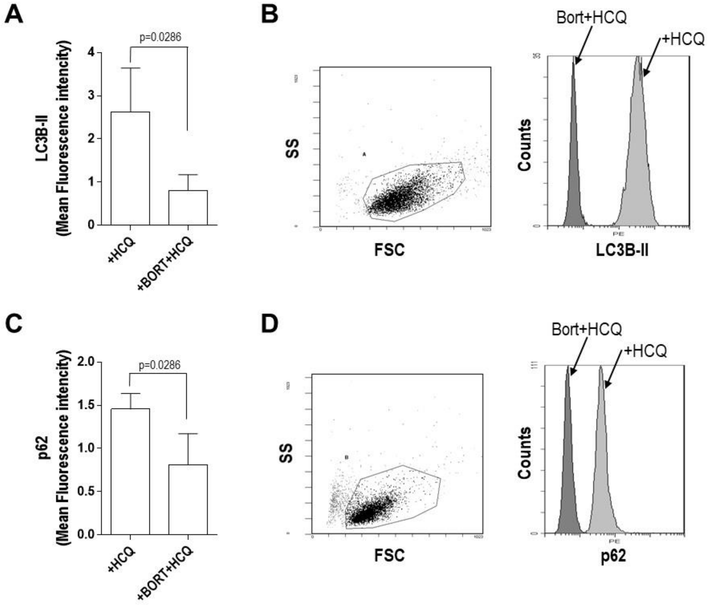 Jcm 09 00552 g003 Jcm 09 00552 g003