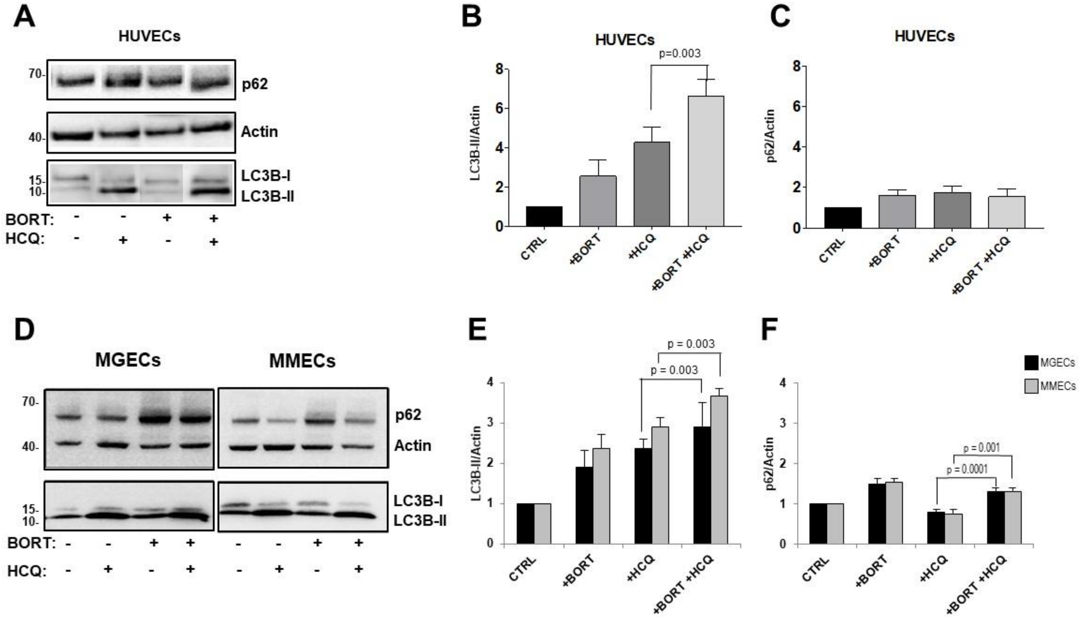 Jcm 09 00552 g004 Jcm 09 00552 g004