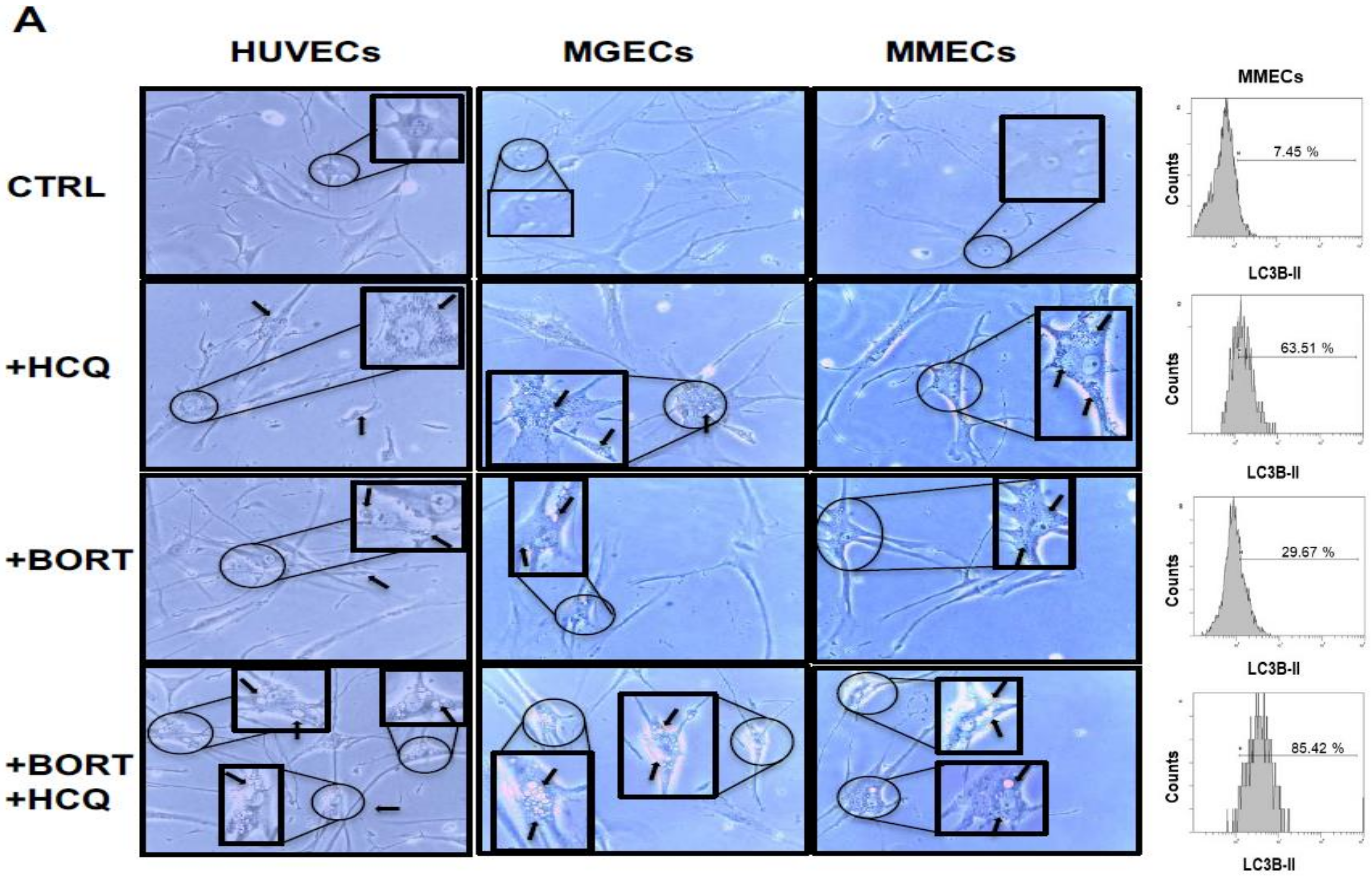 Jcm 09 00552 g005 Jcm 09 00552 g005