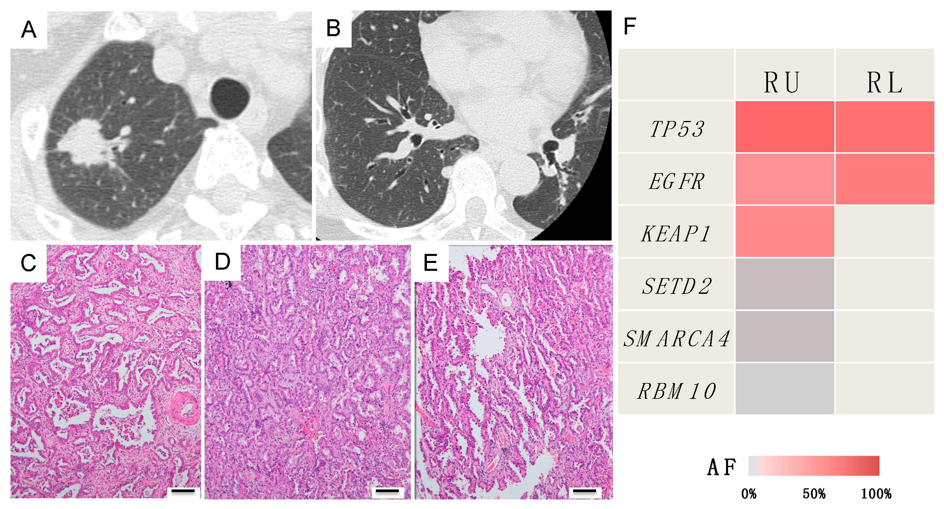 Jcm 09 00573 g004 Jcm 09 00573 g004