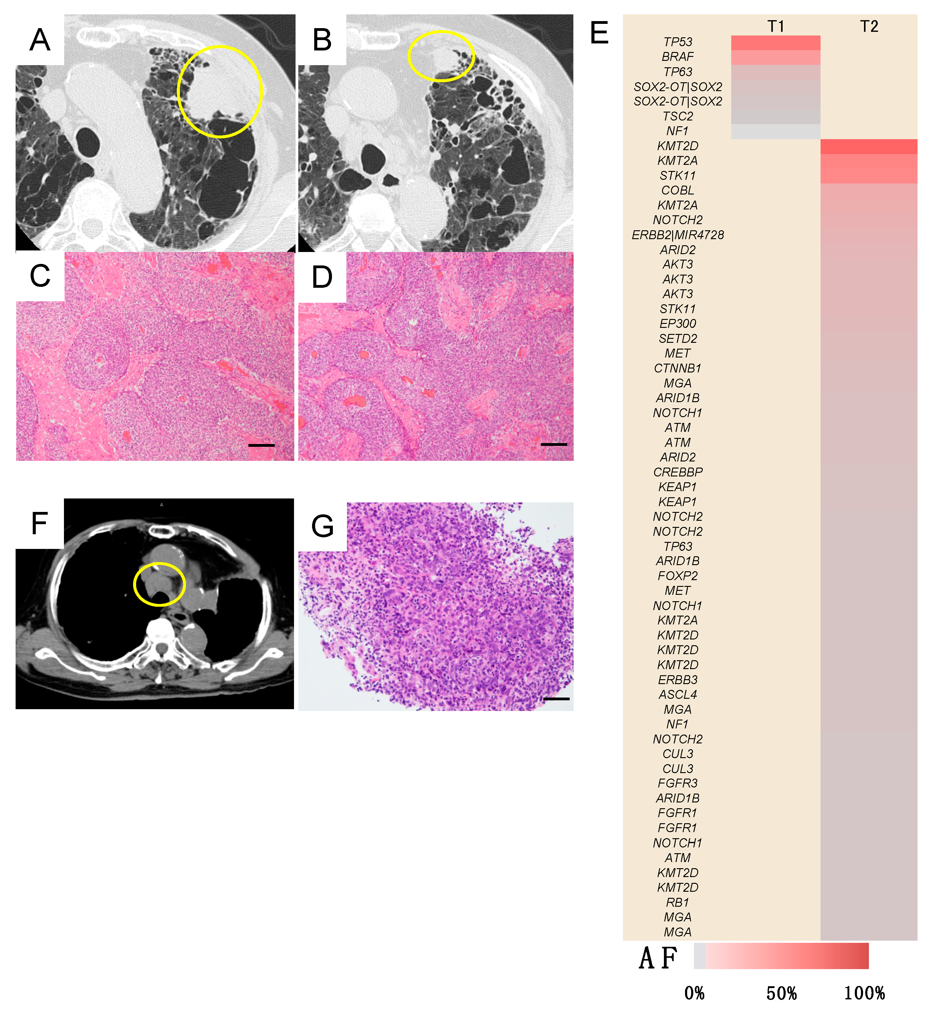 Jcm 09 00573 g005 Jcm 09 00573 g005