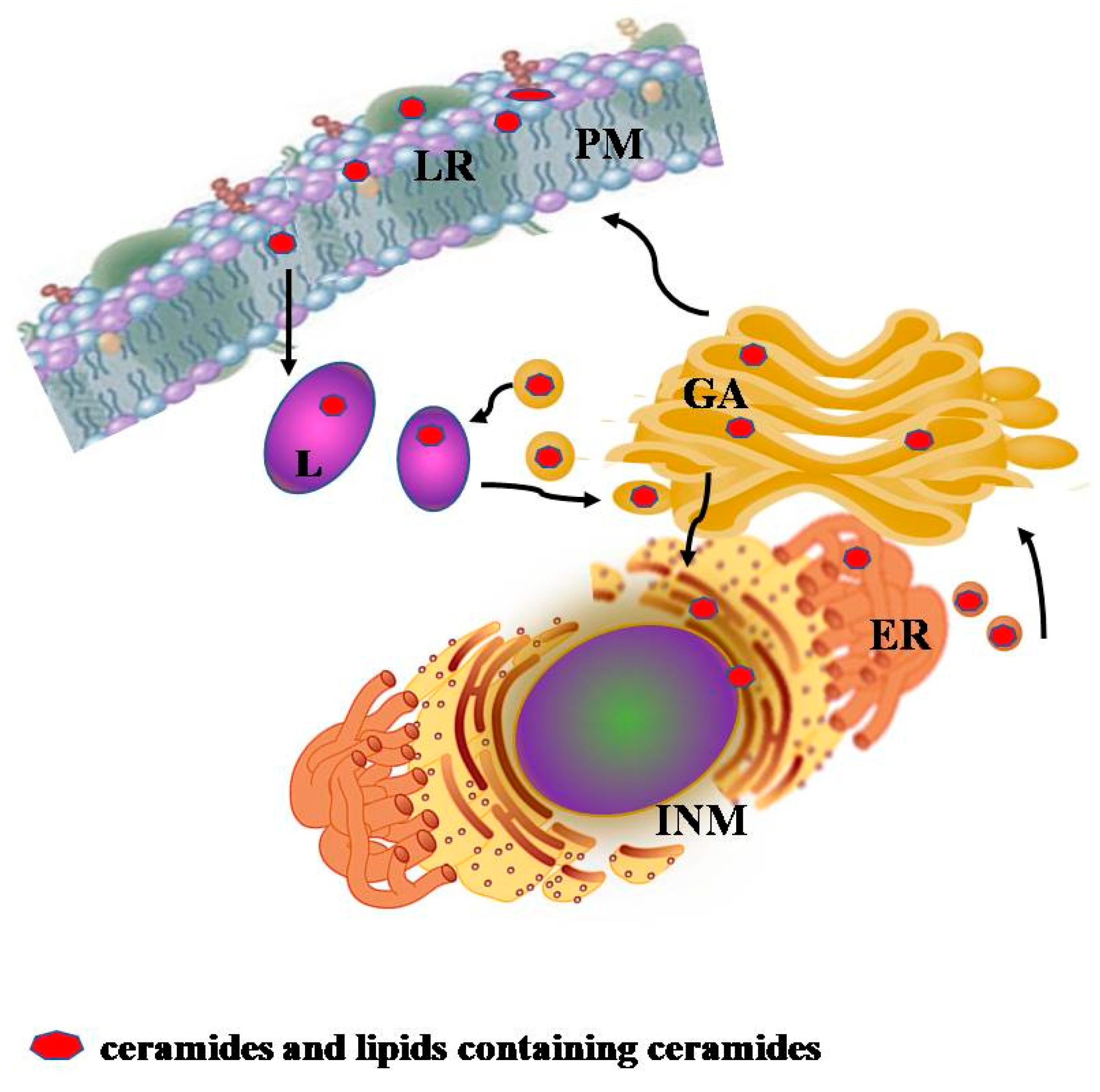 Jcm 09 00594 g001 Jcm 09 00594 g001