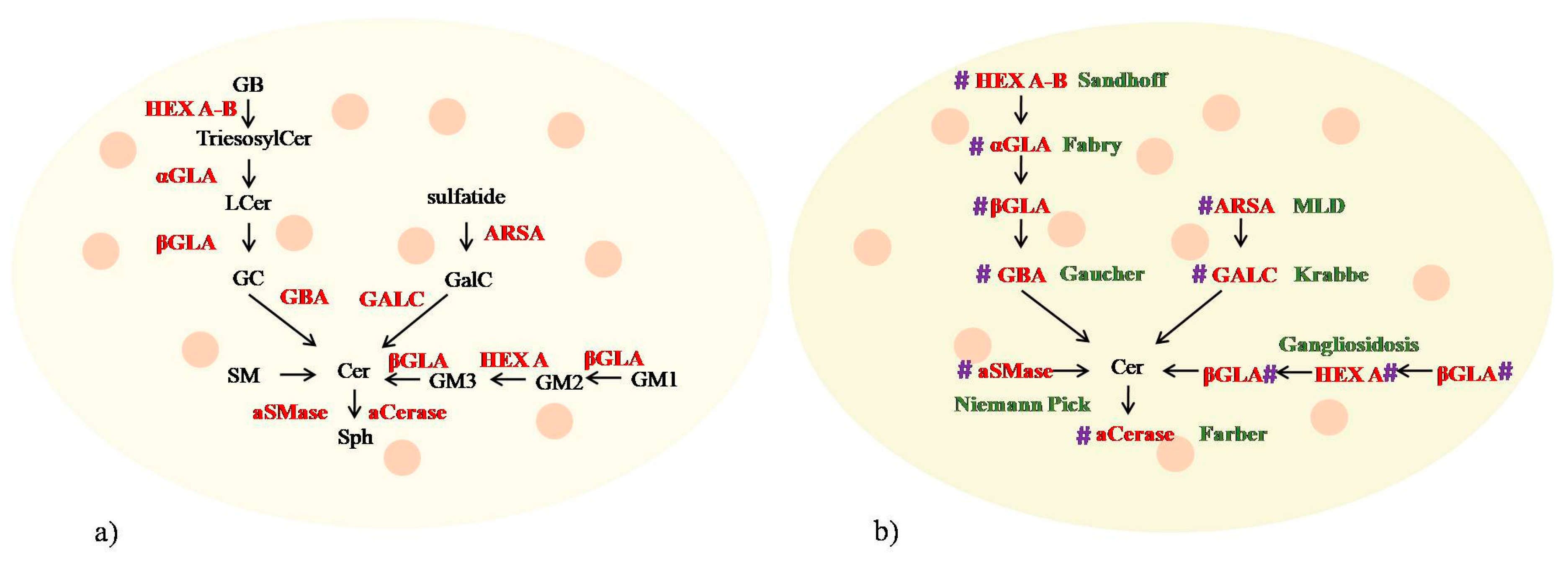 Jcm 09 00594 g003 Jcm 09 00594 g003