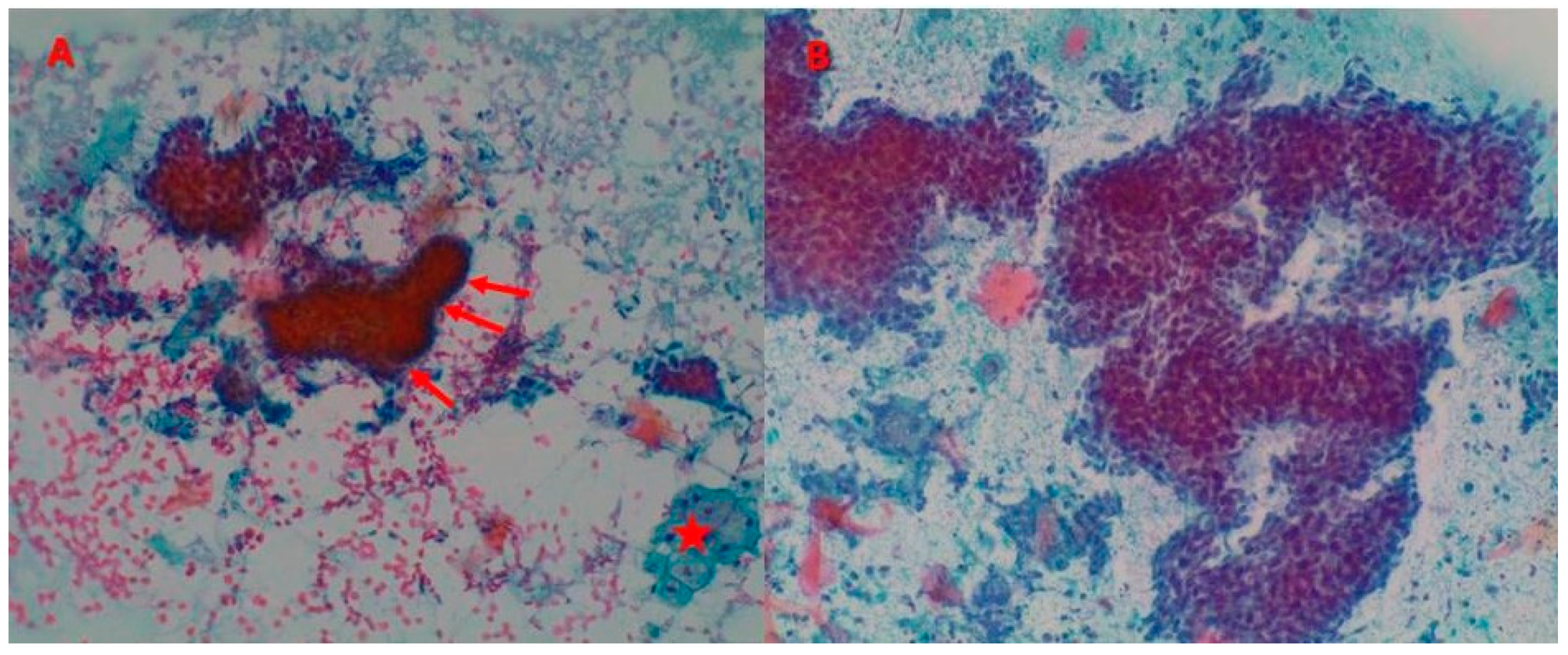 Jcm 09 00612 g001 Jcm 09 00612 g001