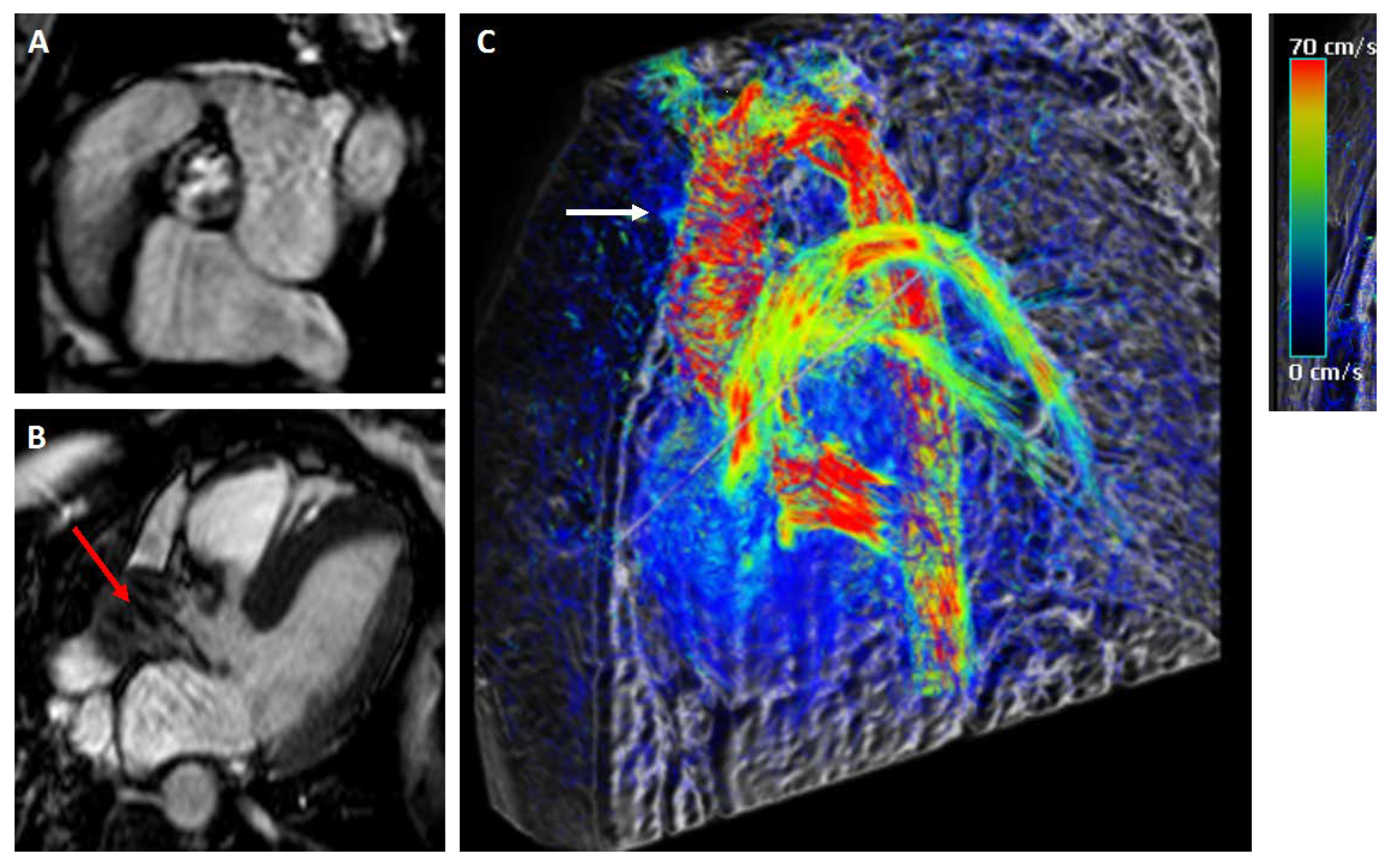 Jcm 09 00662 g002 Jcm 09 00662 g002
