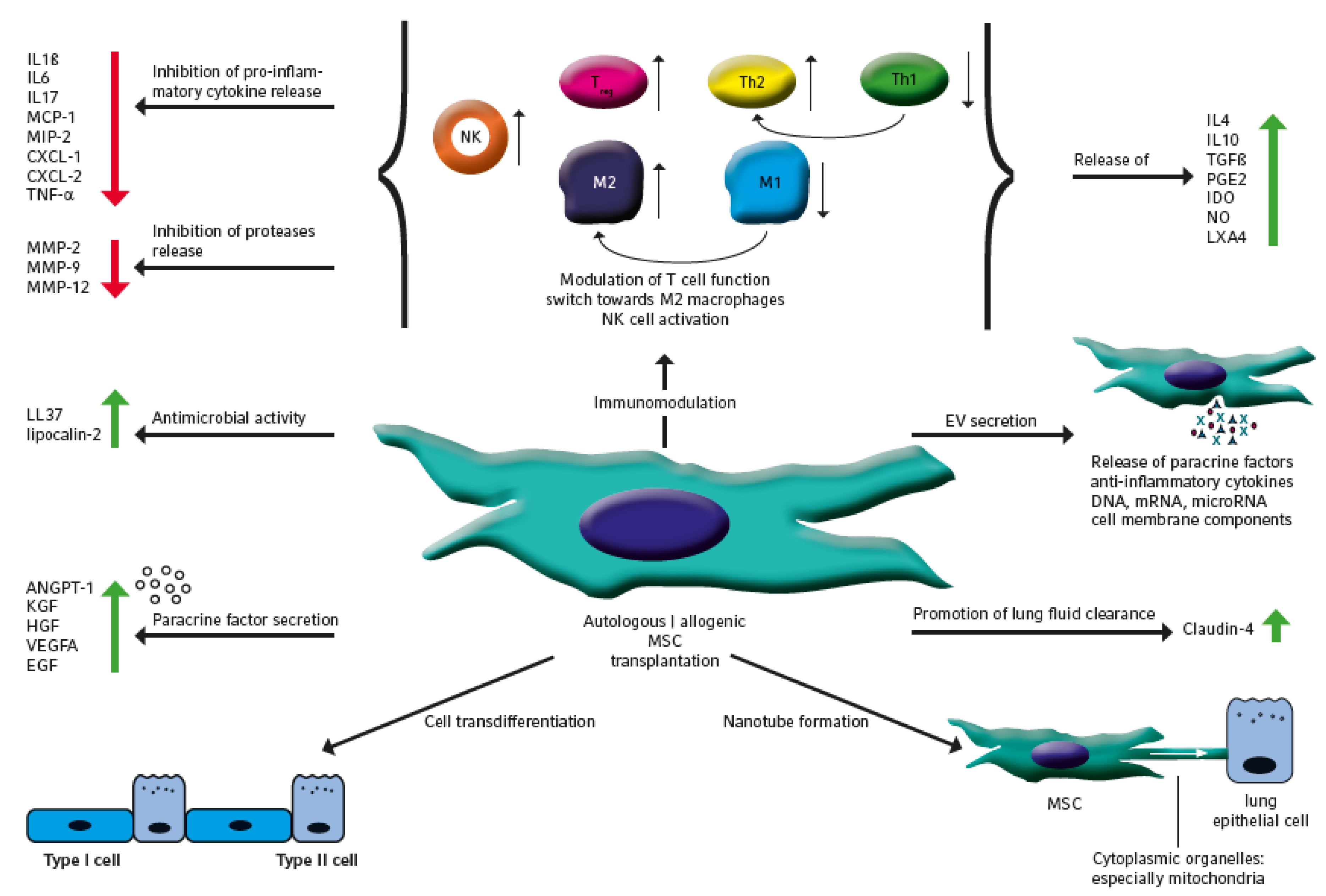 remouse standard license key 3.5