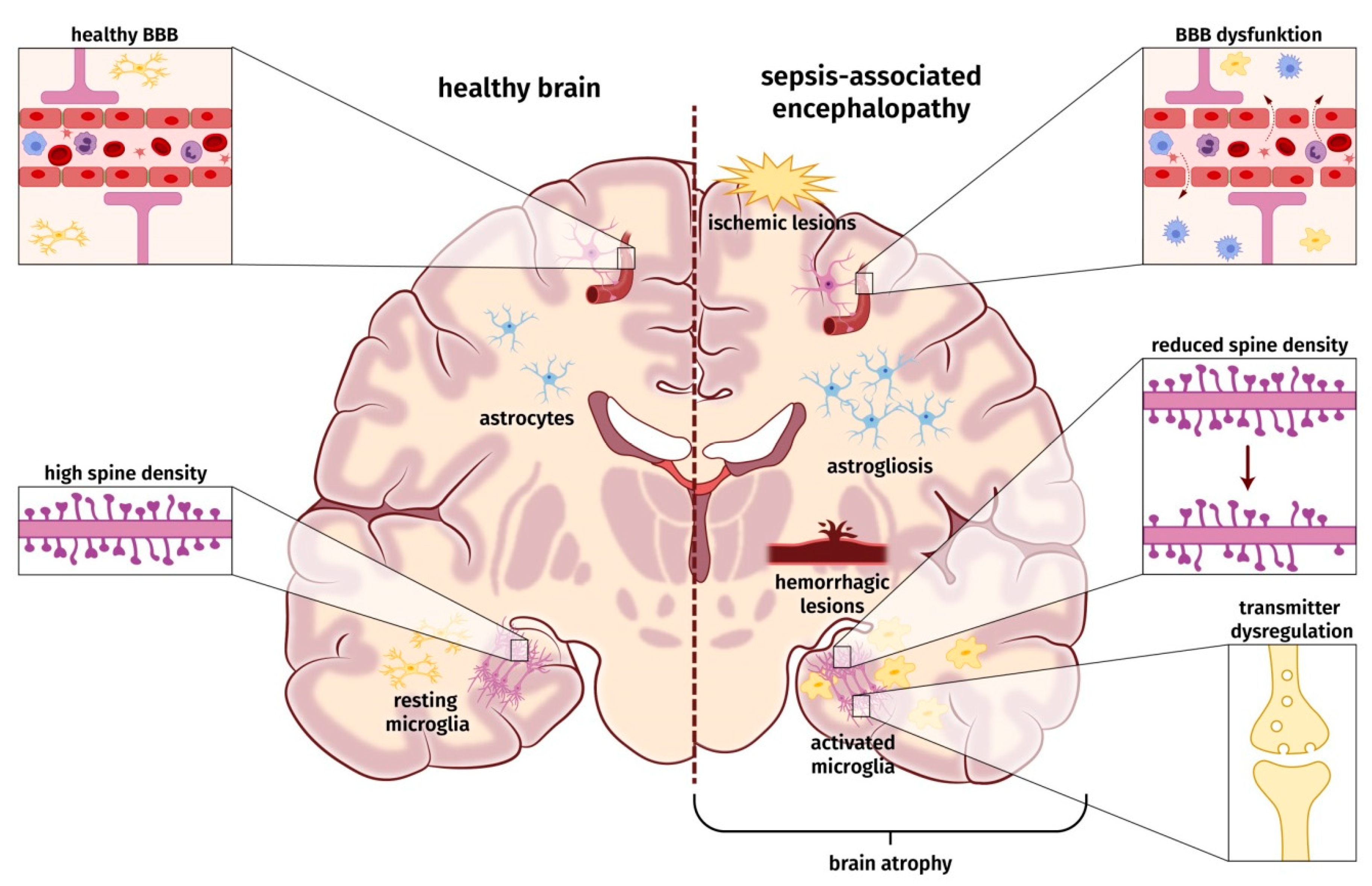 Jcm 09 00703 g001 Jcm 09 00703 g001