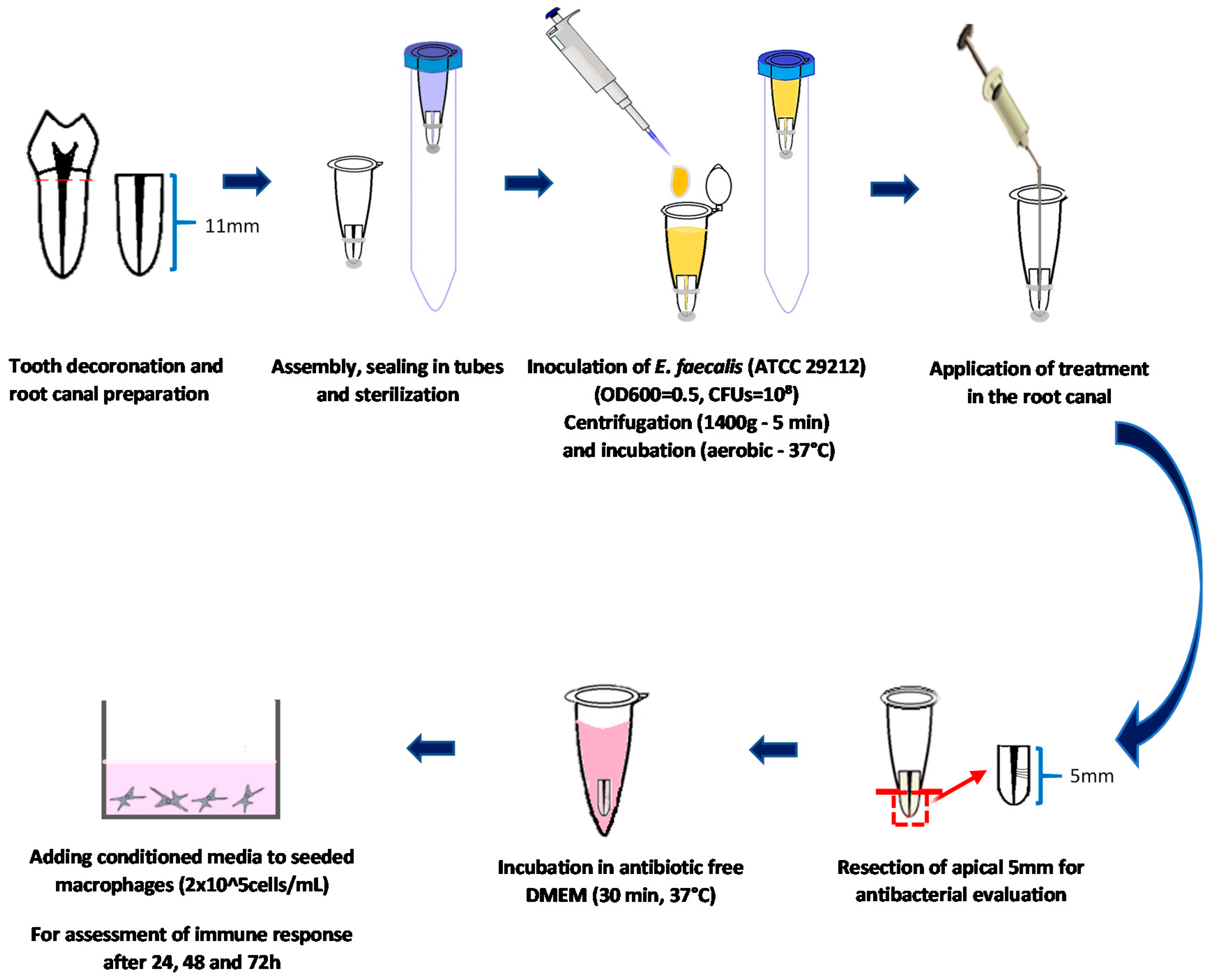 Jcm 09 00730 g001 Jcm 09 00730 g001