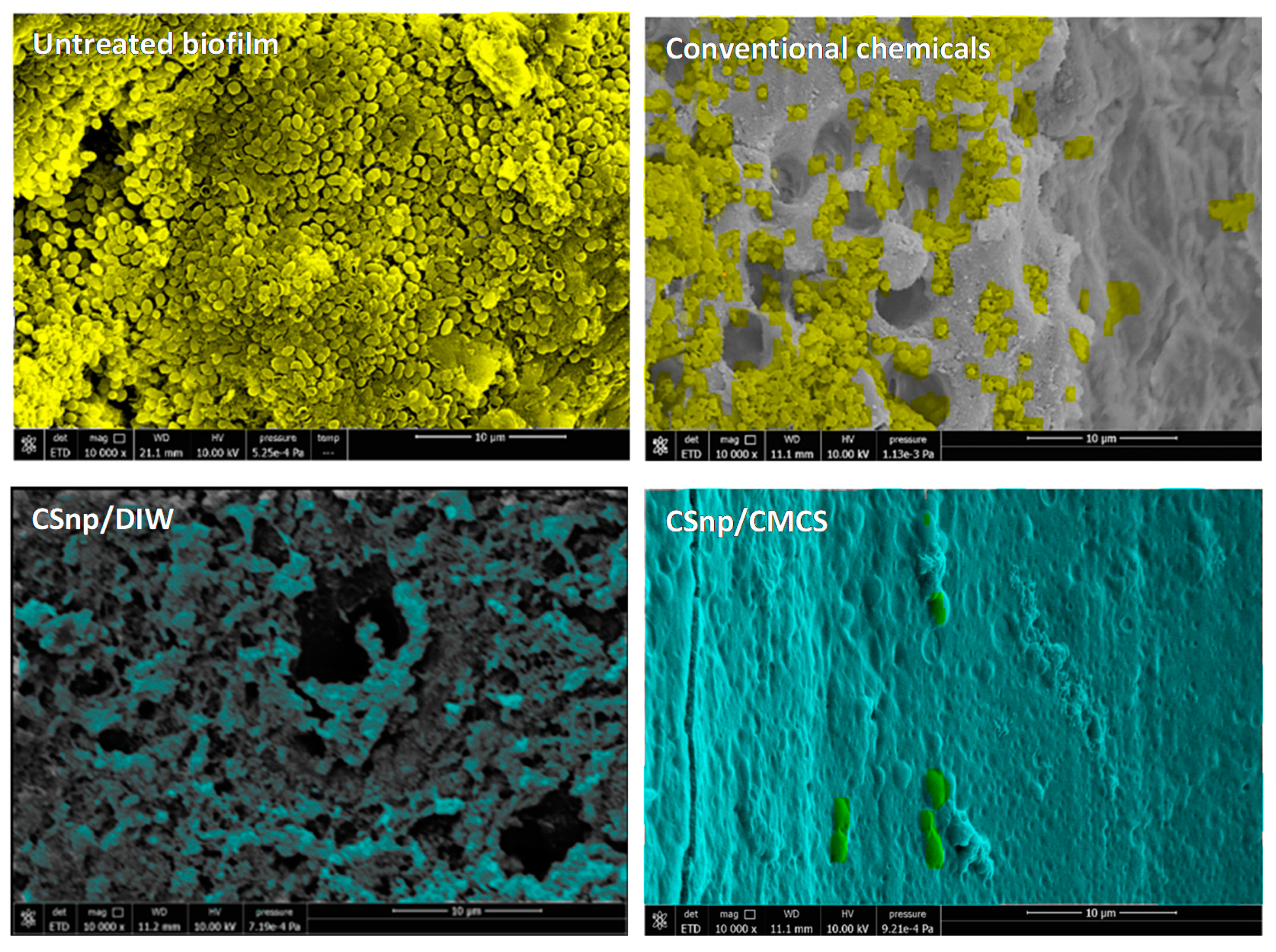 Jcm 09 00730 g003 Jcm 09 00730 g003