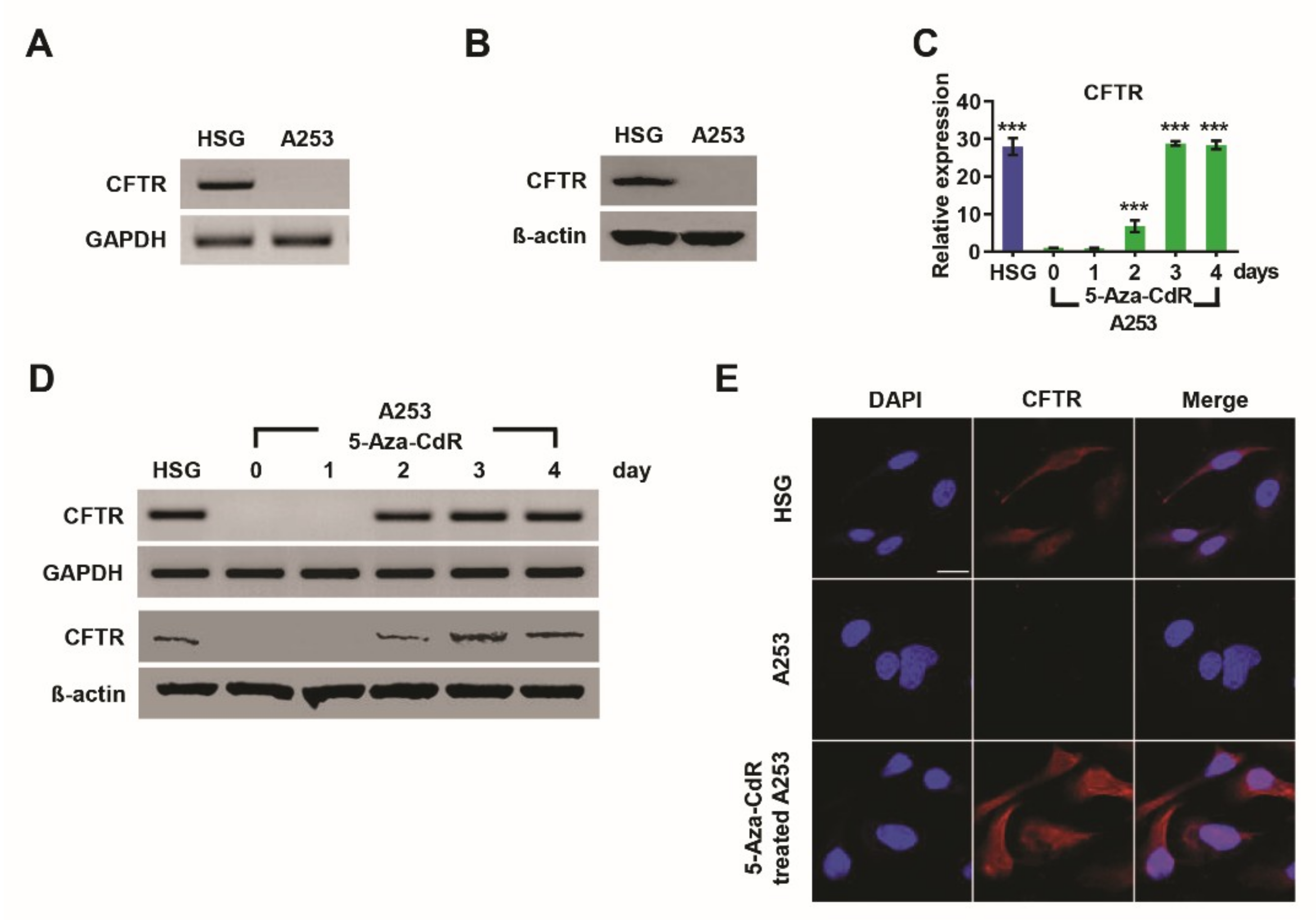Jcm 09 00734 g001 Jcm 09 00734 g001