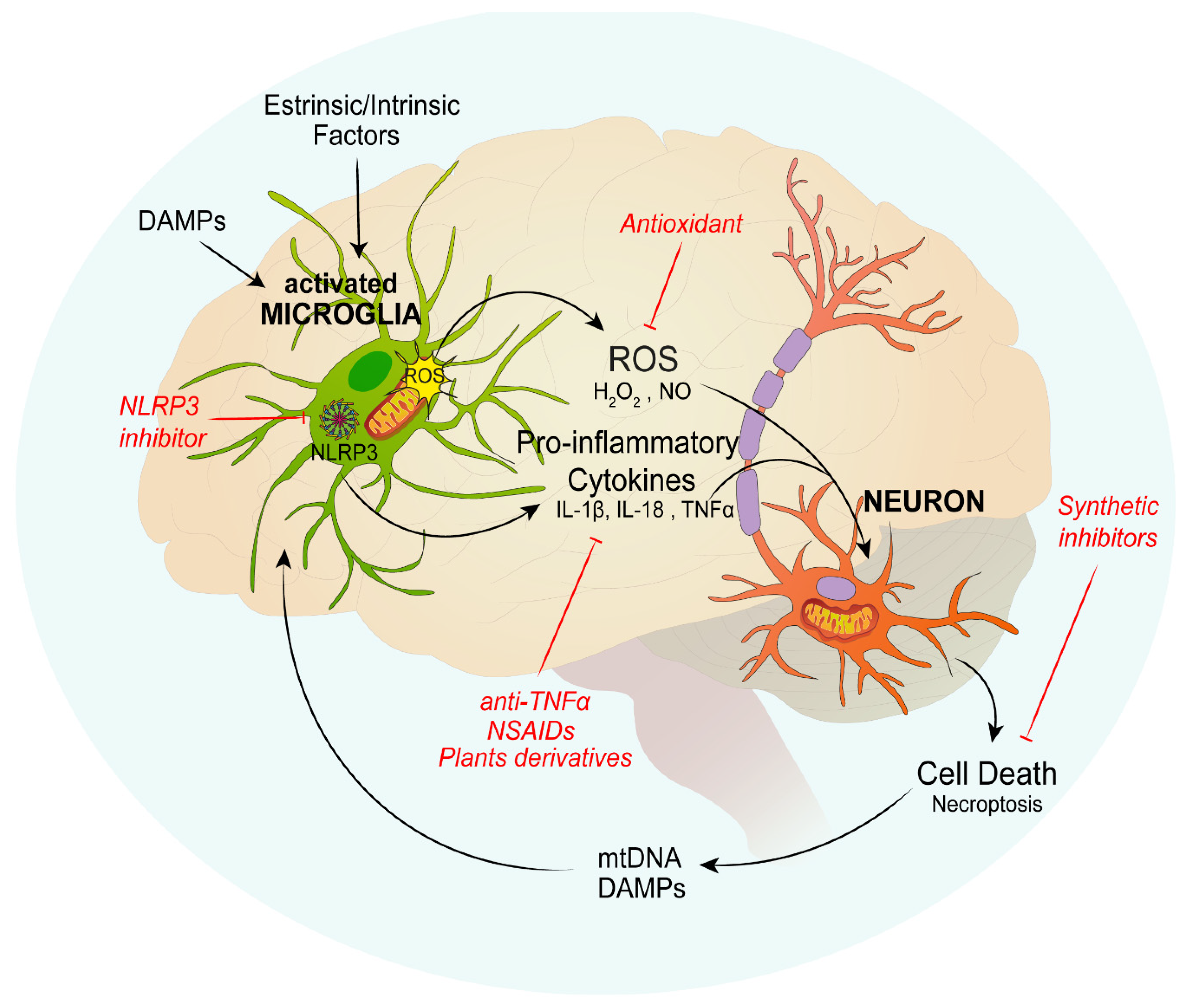 12.  Debunking Cancer Myths: Karma And Disease - d7vwcz6