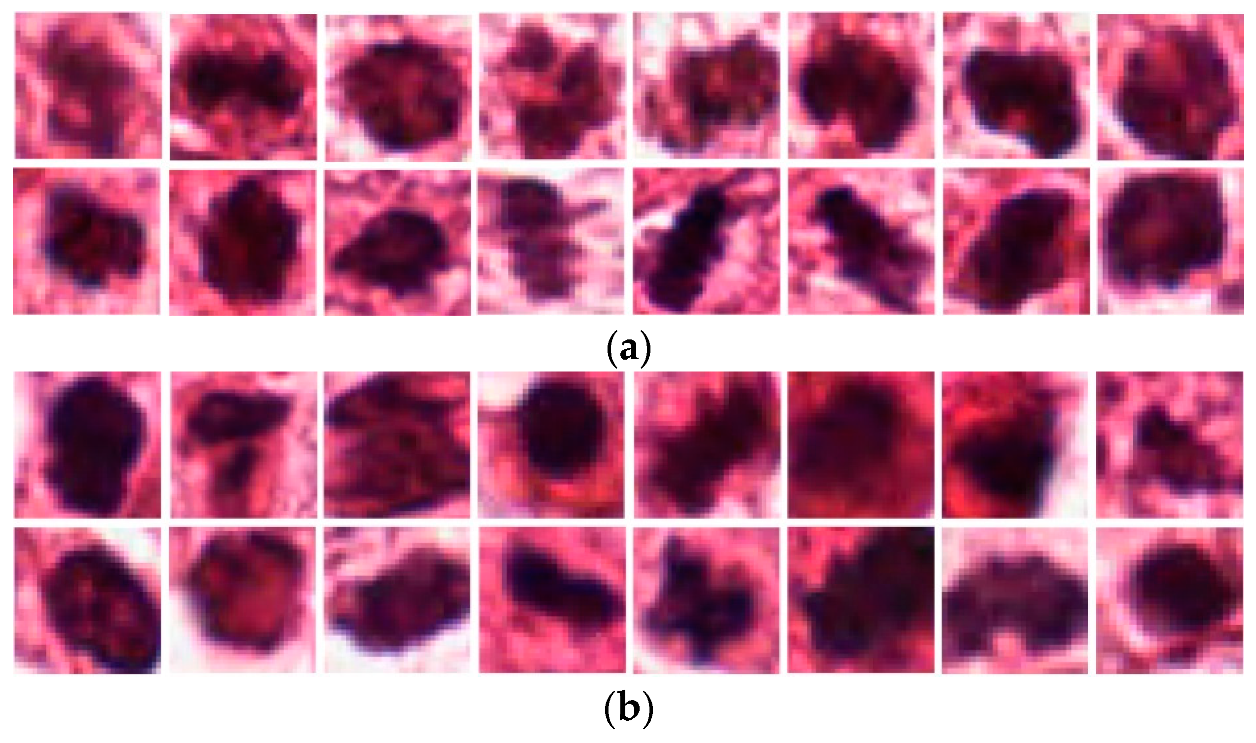 Jcm 09 00749 g001 Jcm 09 00749 g001