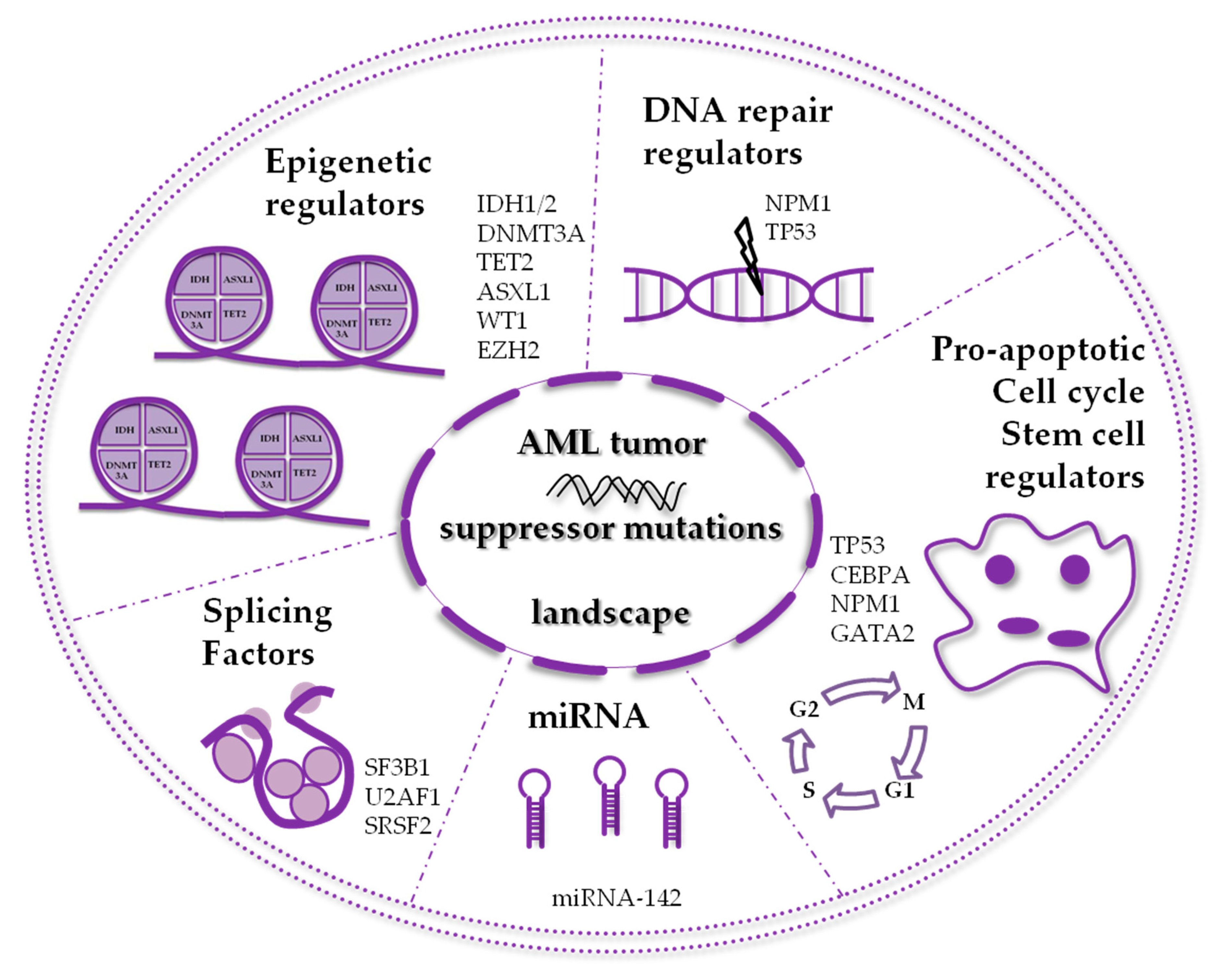 Jcm 09 00802 g001 Jcm 09 00802 g001