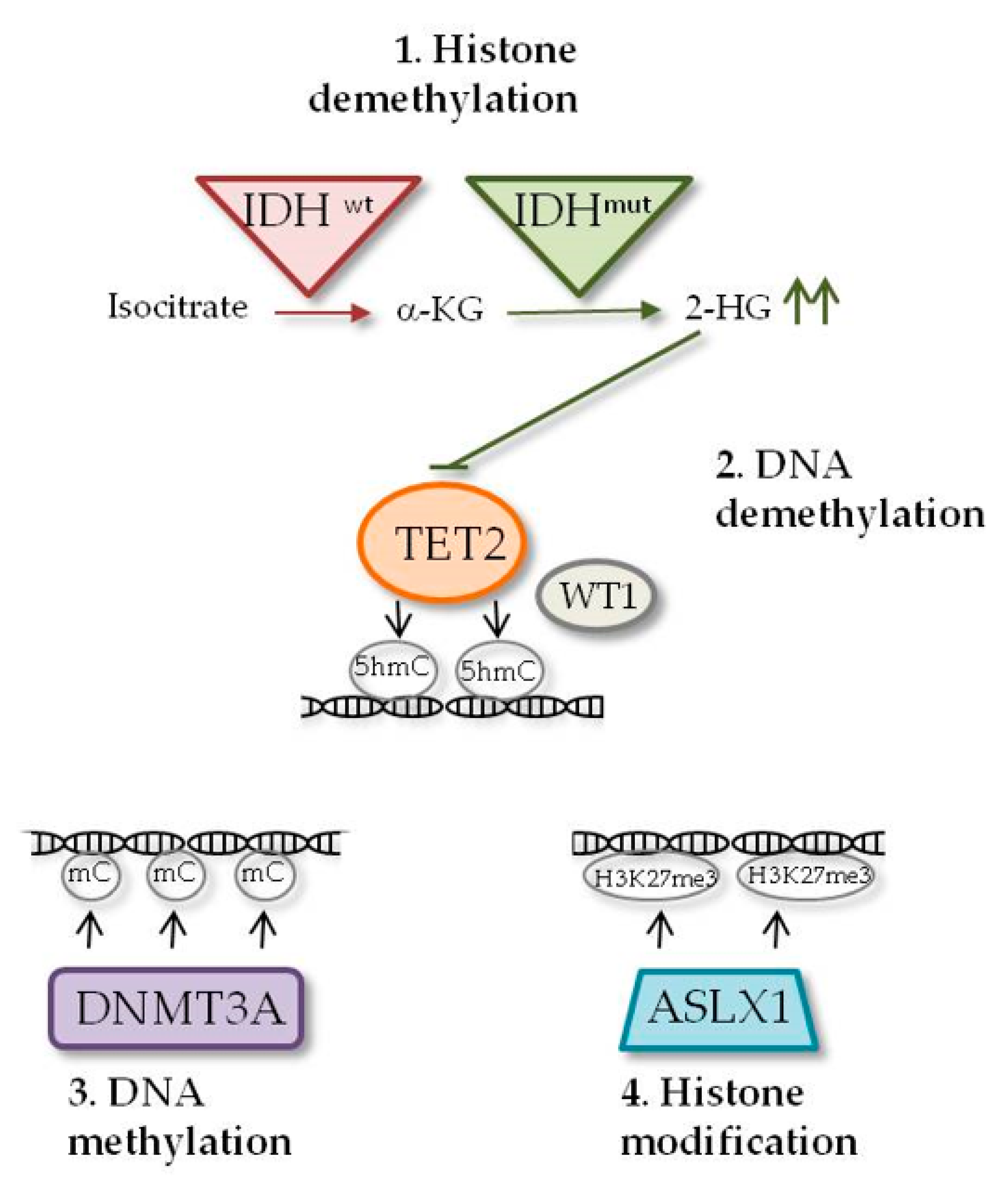 Jcm 09 00802 g002 Jcm 09 00802 g002
