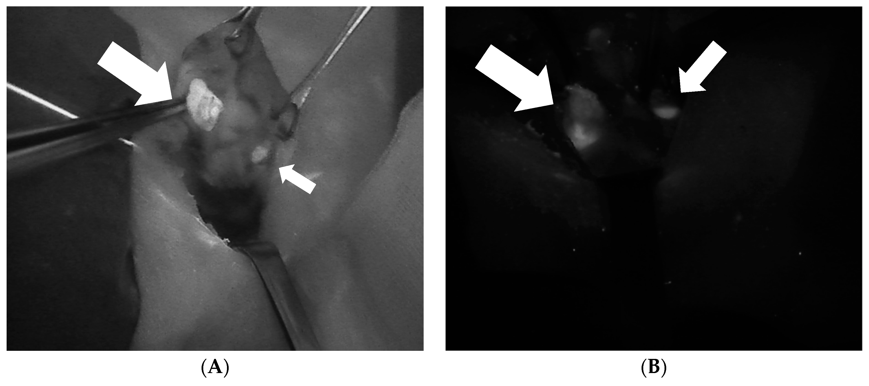 Jcm 09 00830 g003 Jcm 09 00830 g003