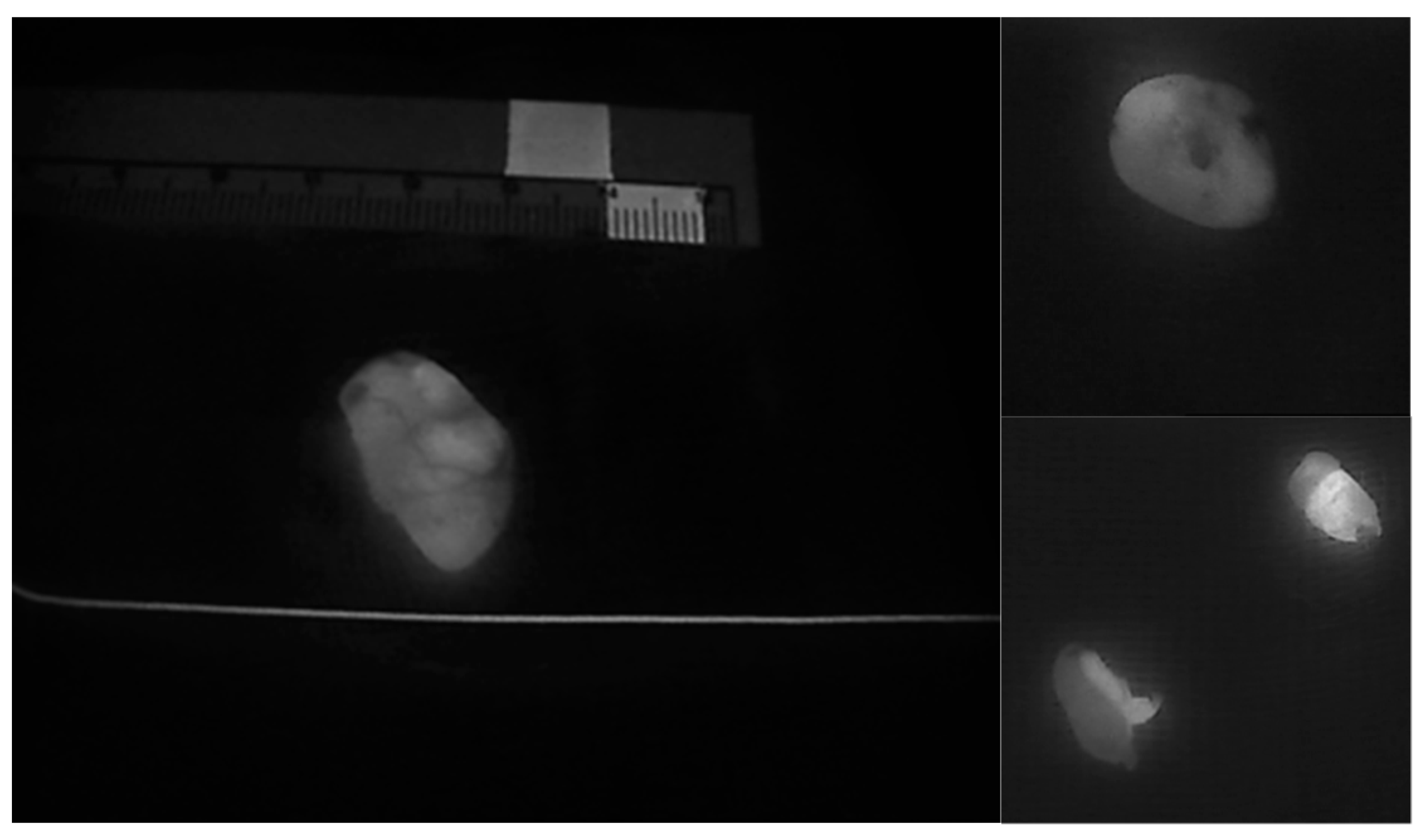 Jcm 09 00830 g004 Jcm 09 00830 g004