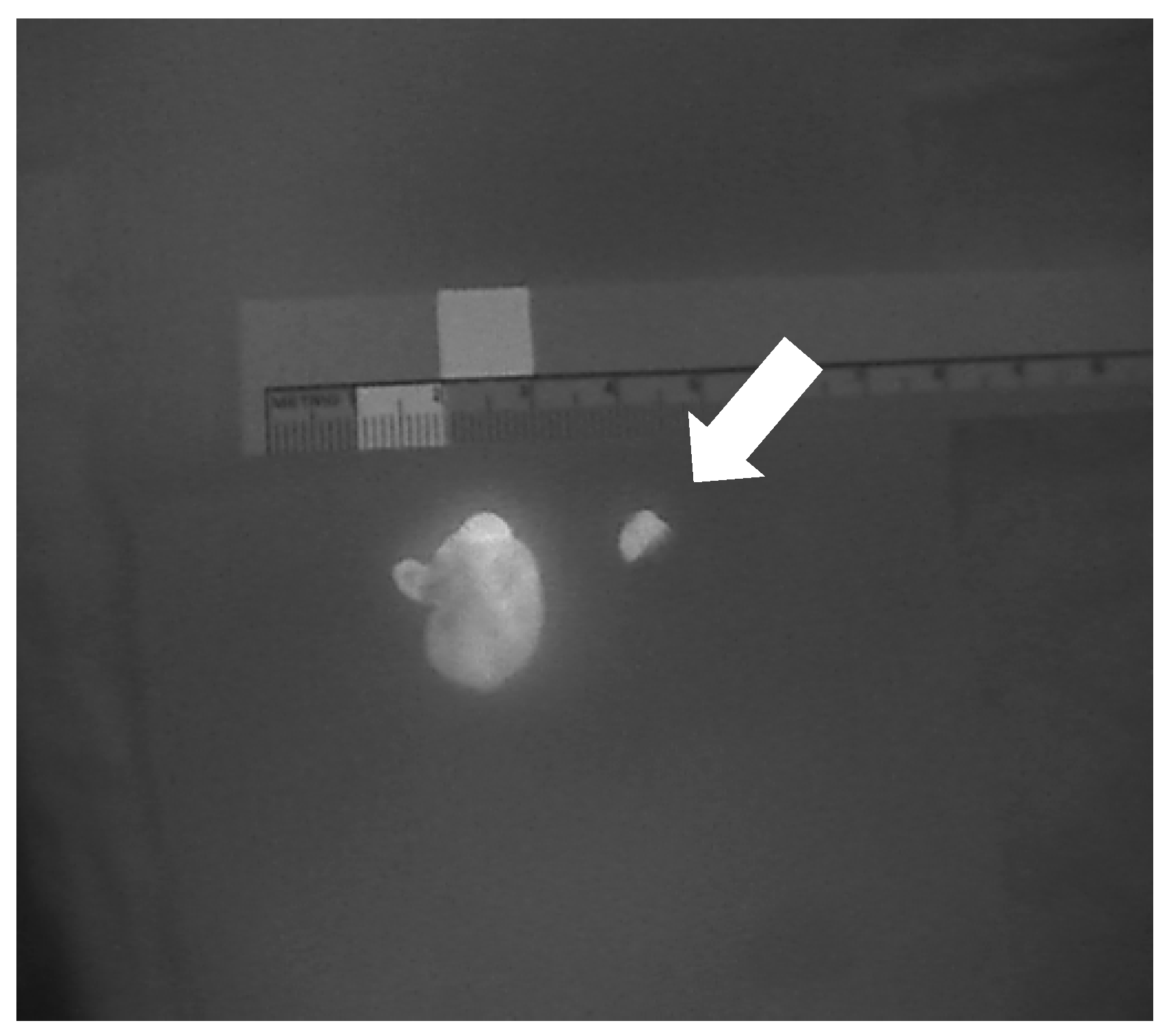 Jcm 09 00830 g005 Jcm 09 00830 g005