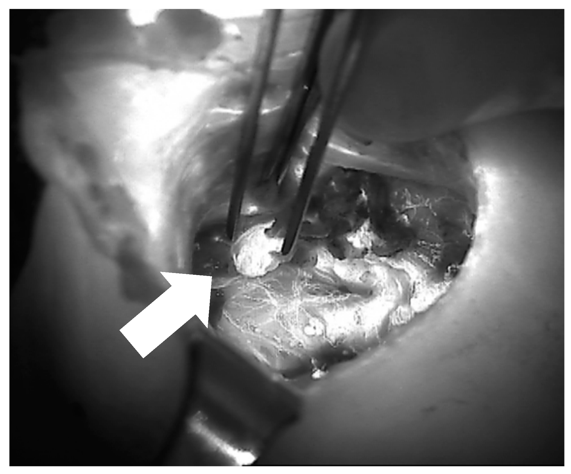 Jcm 09 00830 g007 Jcm 09 00830 g007