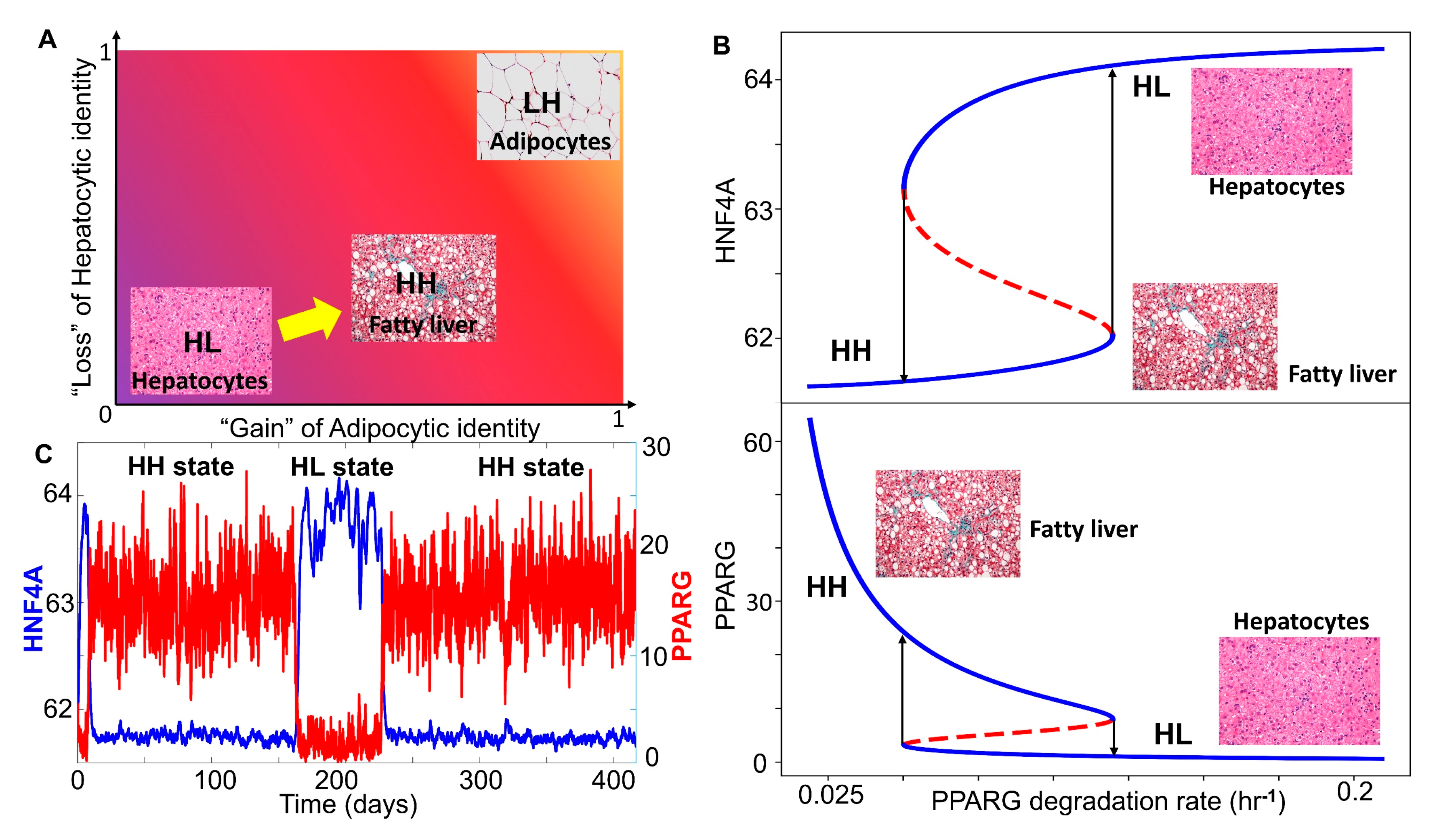 Jcm 09 00870 g004 Jcm 09 00870 g004